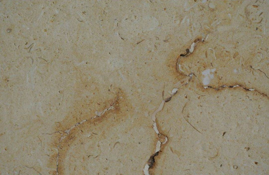 DESERT GOLD Limestone Honed-Filled Tile