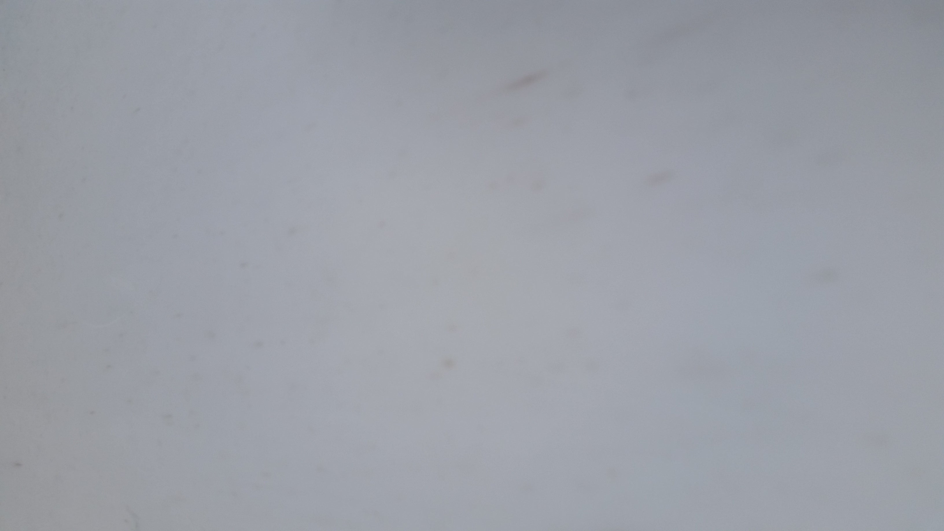 DOLOMITE Marble Polished Tile