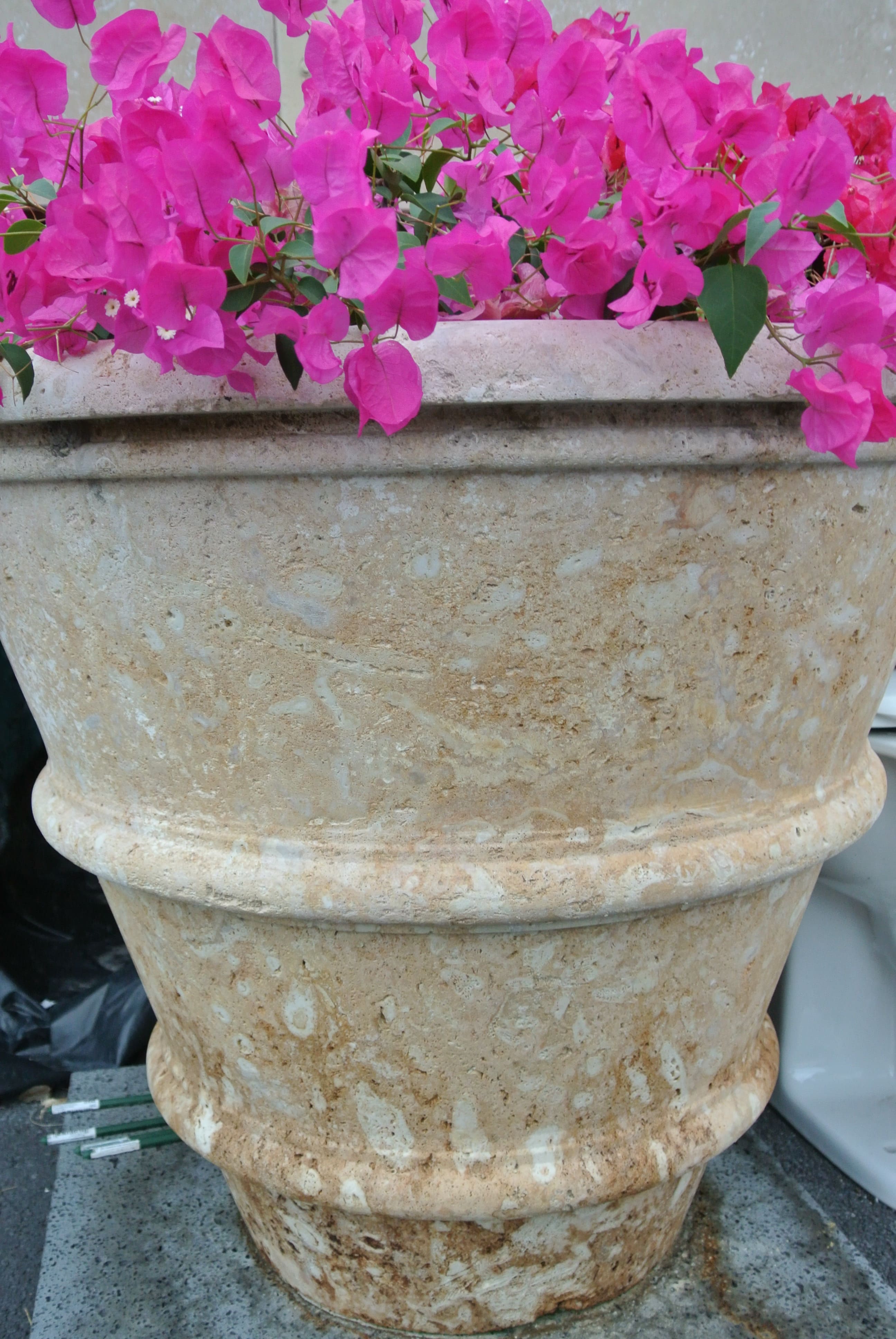 Coral Classic Planter Hawaii Stone Imports