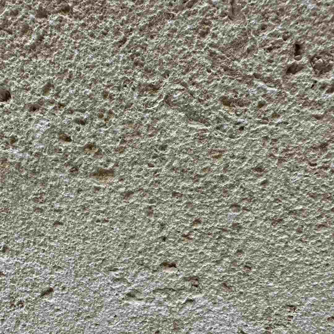Coral Classic Wall Veneer Hawaii Stone Imports
