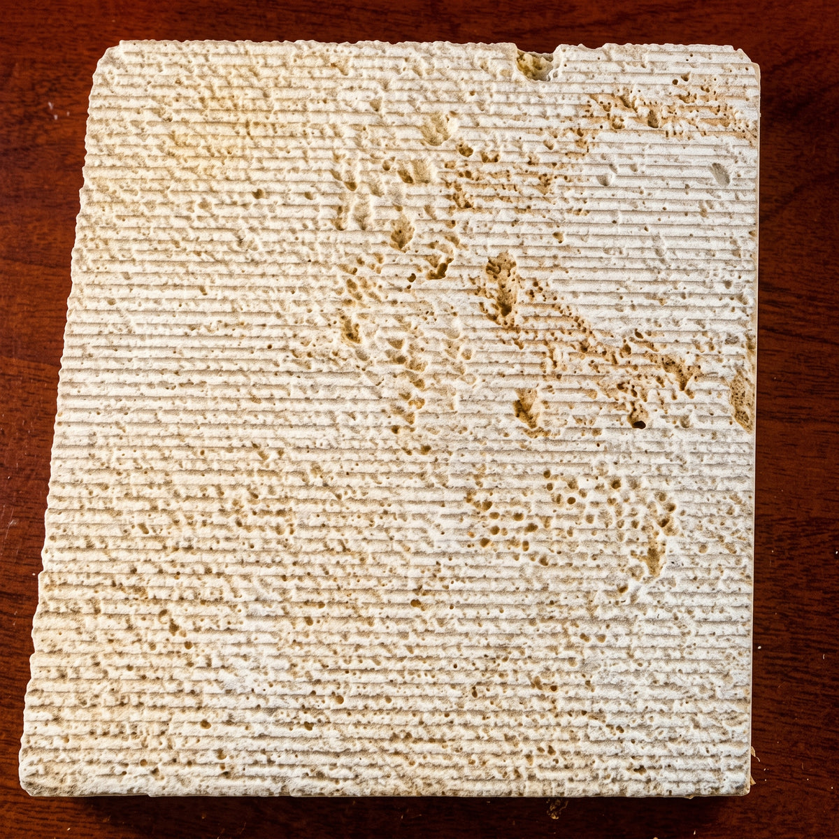 CORAL CLASSIC Fine-Line-Chiseled Straight Edge Wall Veneer