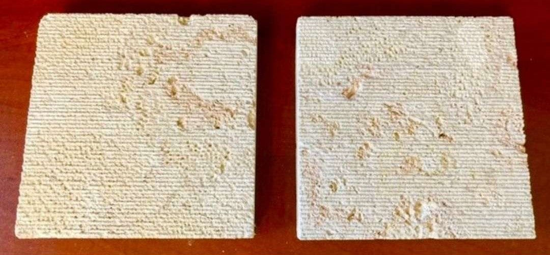 Coral Classic Wall Veneer Hawaii Stone Imports