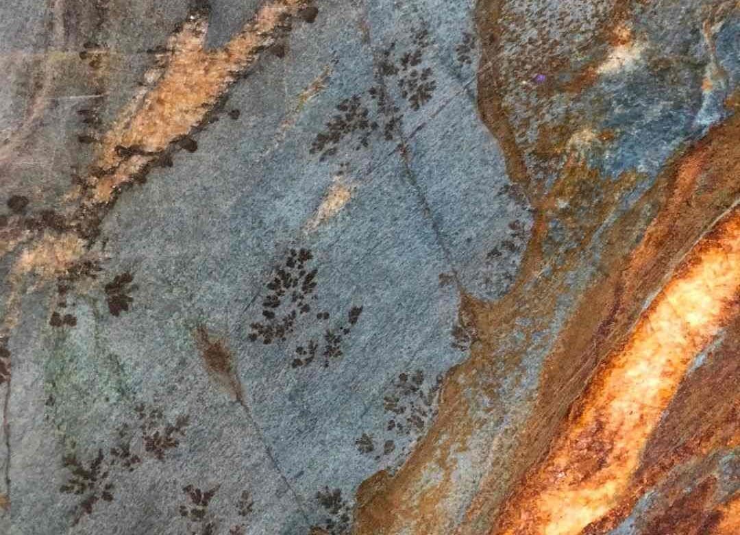 Blue Louise Quartzite Slab Hawaii Stone Imports