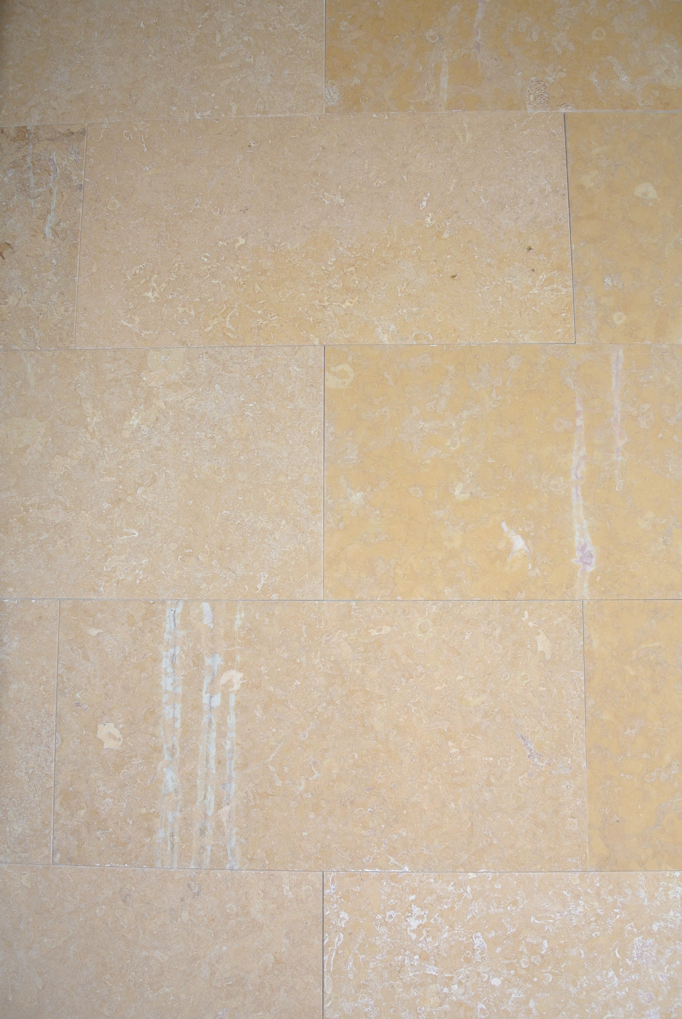 AMARELLO NEGRAIS Limestone Honed Tile