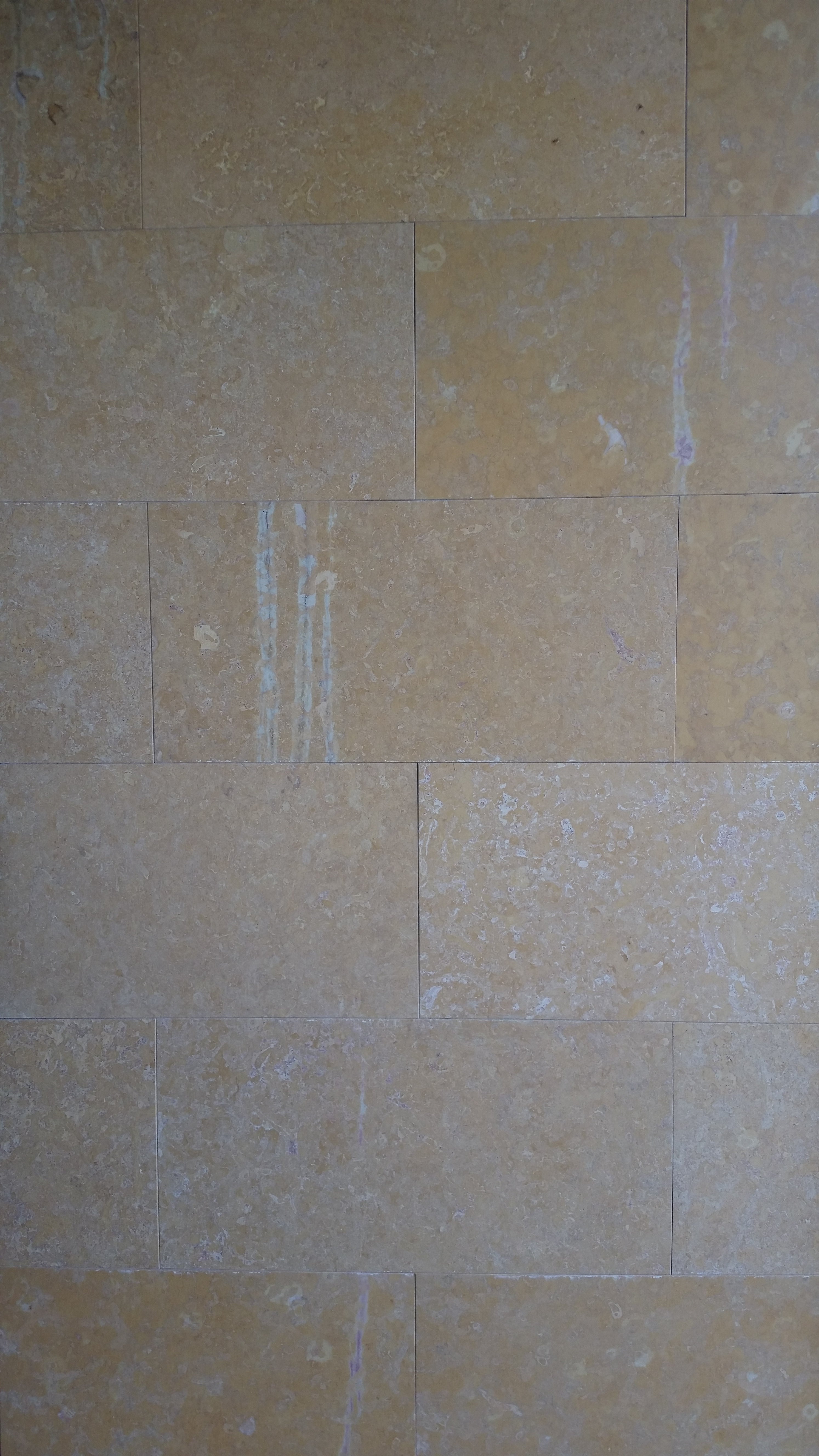 AMARELLO NEGRAIS Limestone Honed Tile