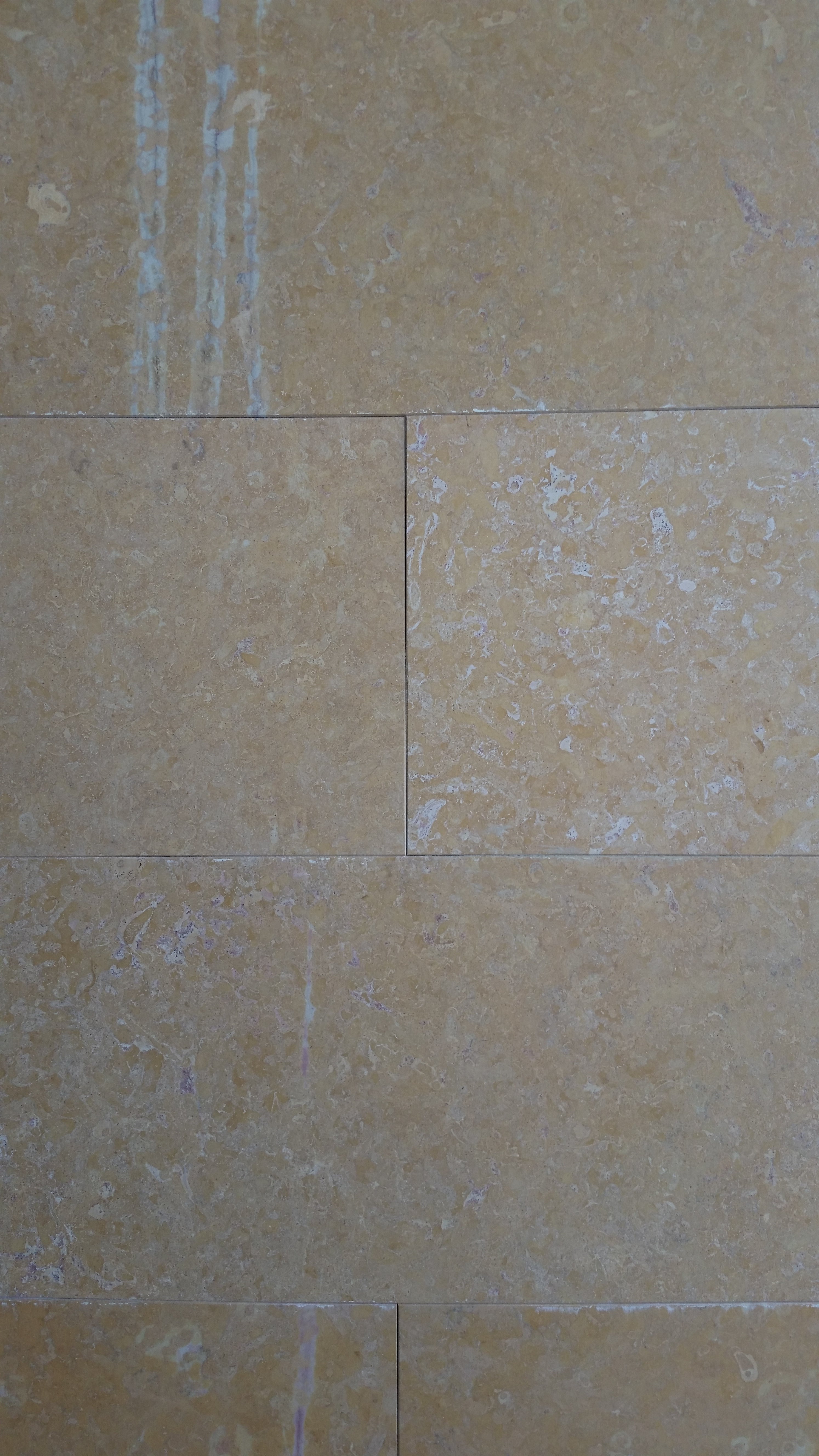 AMARELLO NEGRAIS Limestone Honed Tile