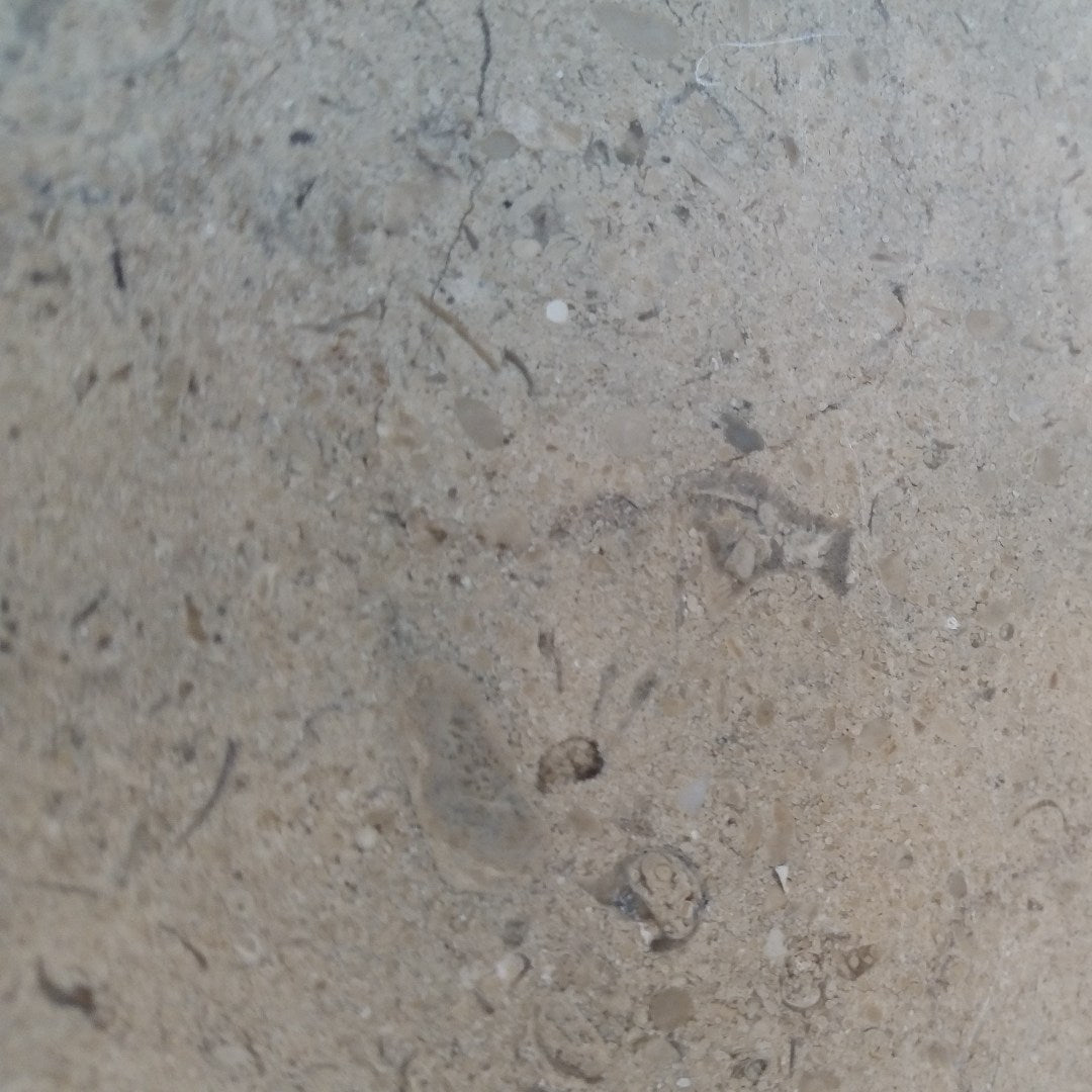 GASCOGNE BLUE Limestone Honed Tile