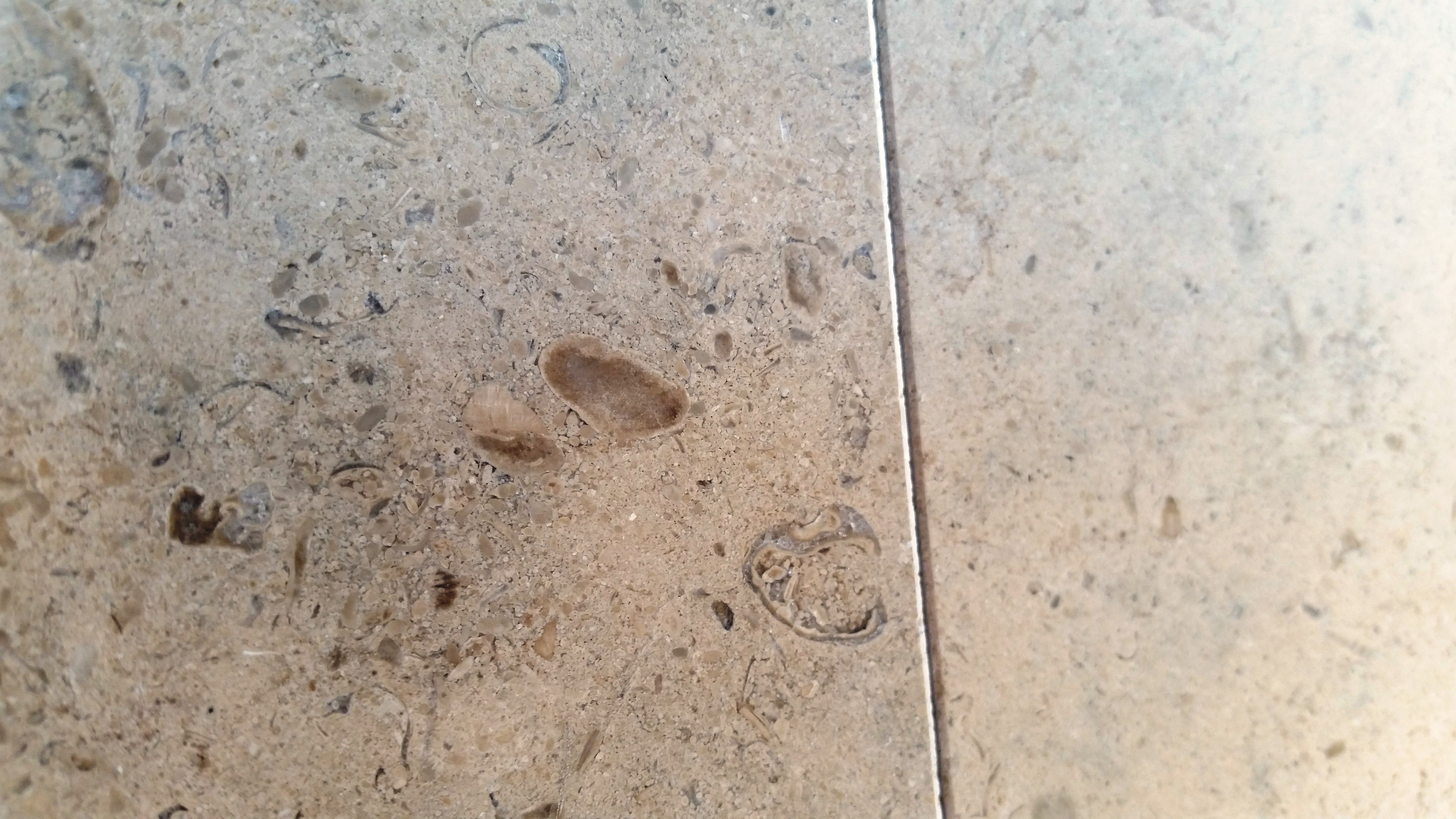 GASCOGNE BLUE Limestone Honed Tile