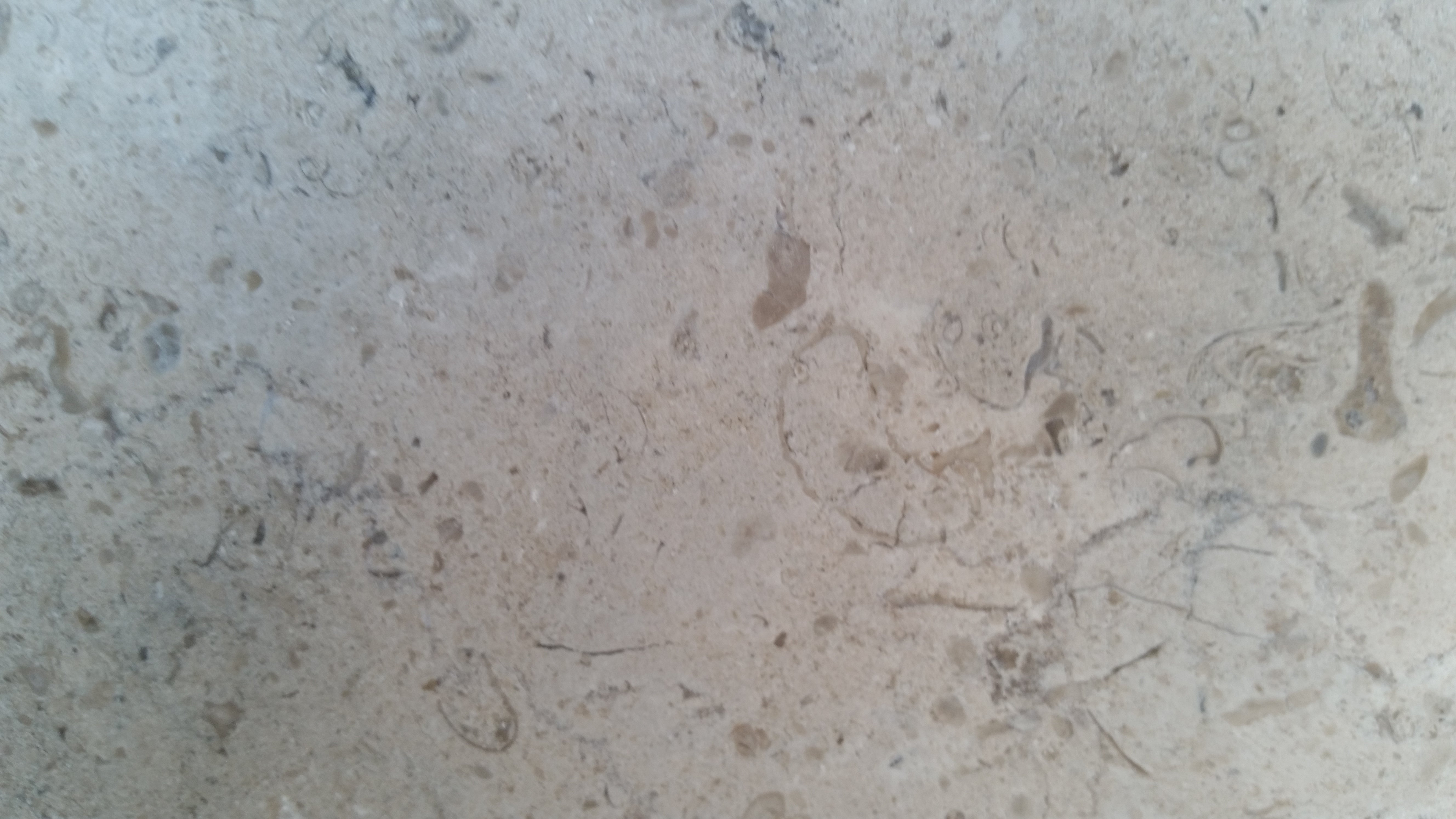 GASCOGNE BLUE Limestone Honed Tile