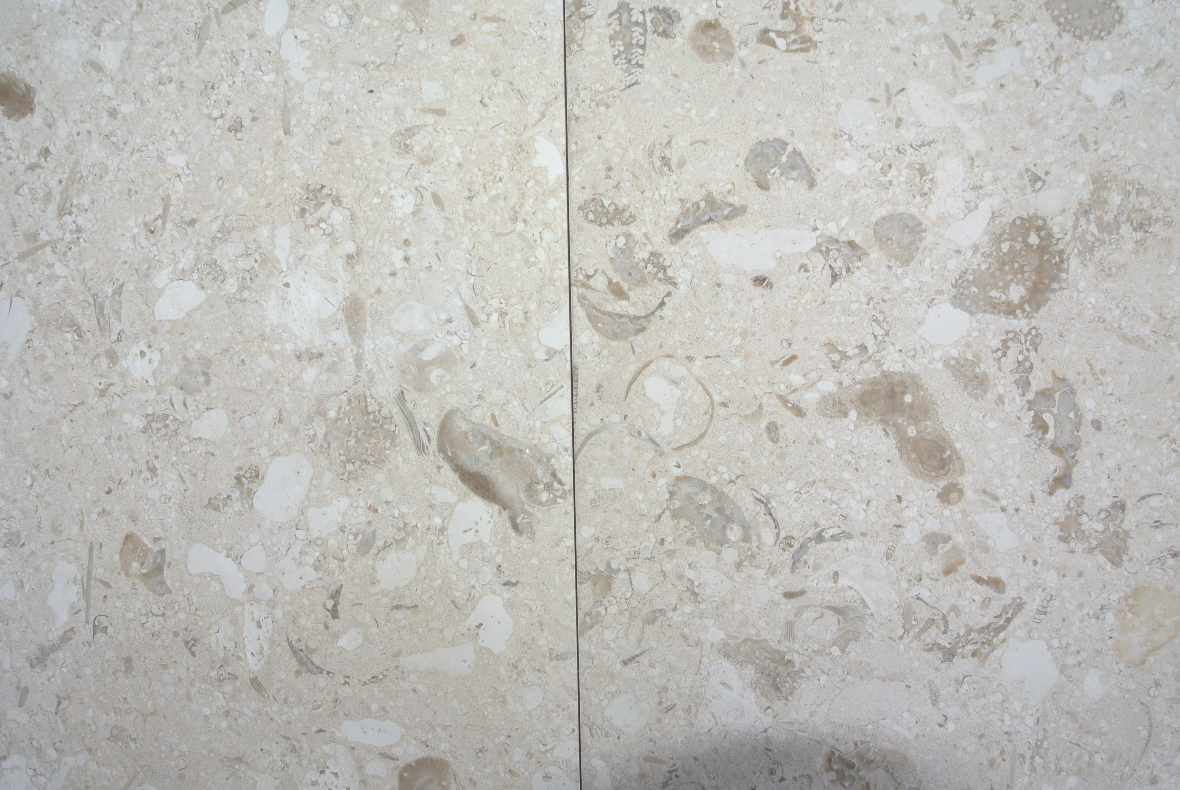 MIRABELLE Limestone Brushed Tile