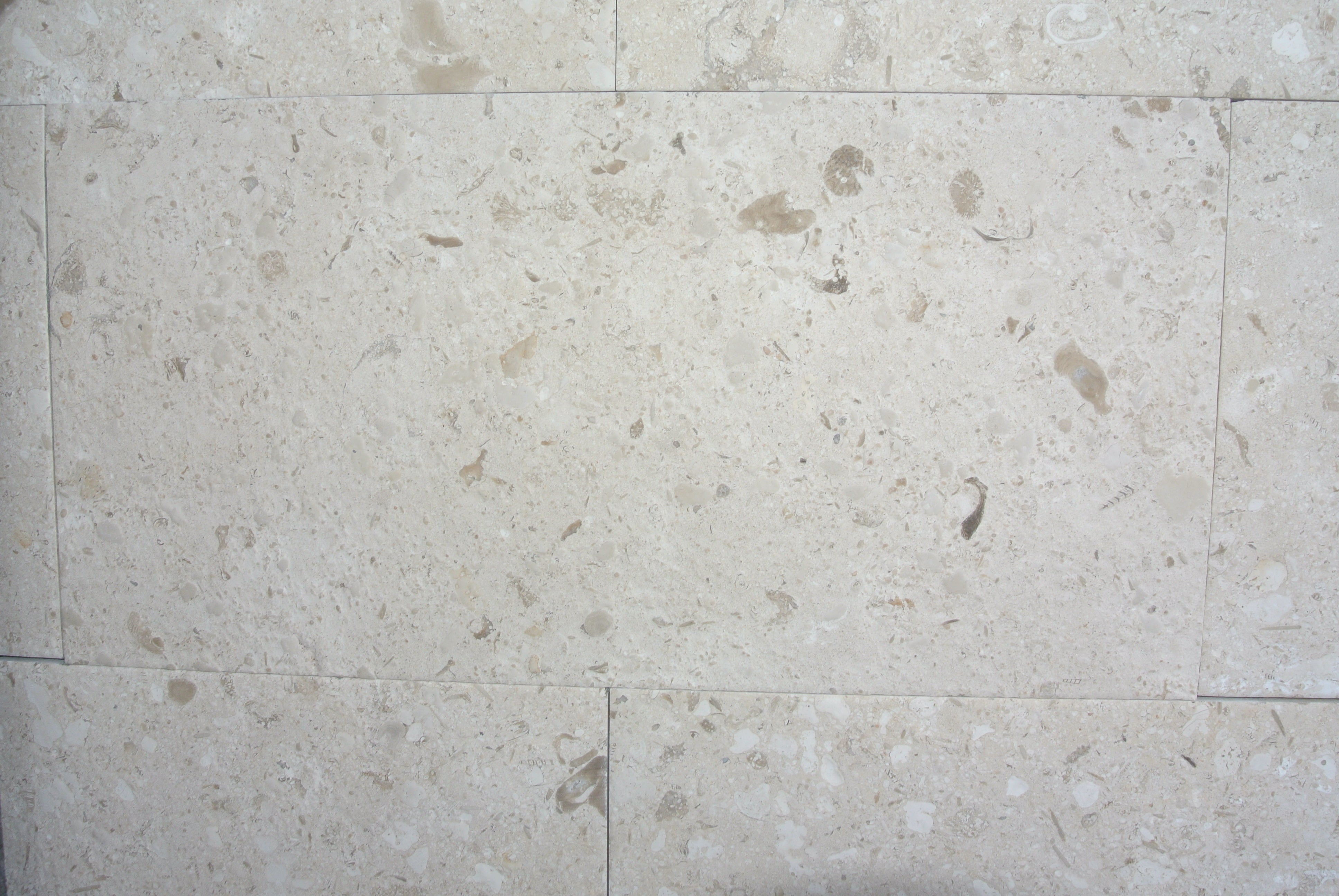 MIRABELLE Limestone Brushed Tile