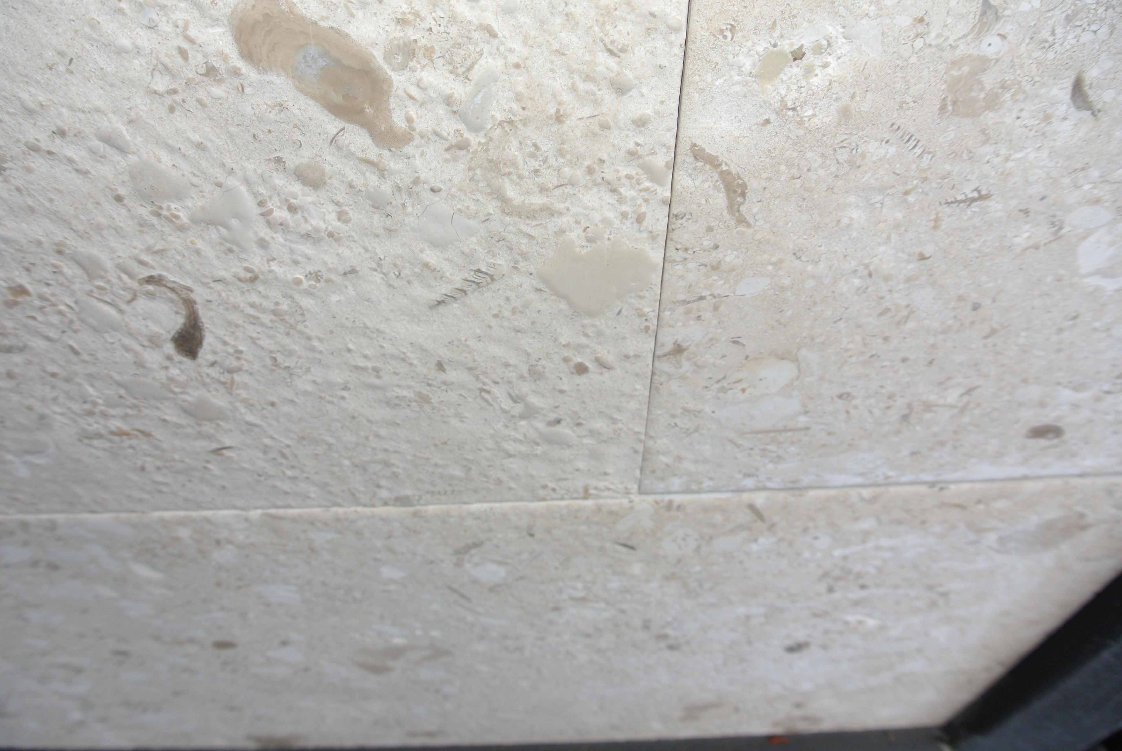 MIRABELLE Limestone Brushed Tile