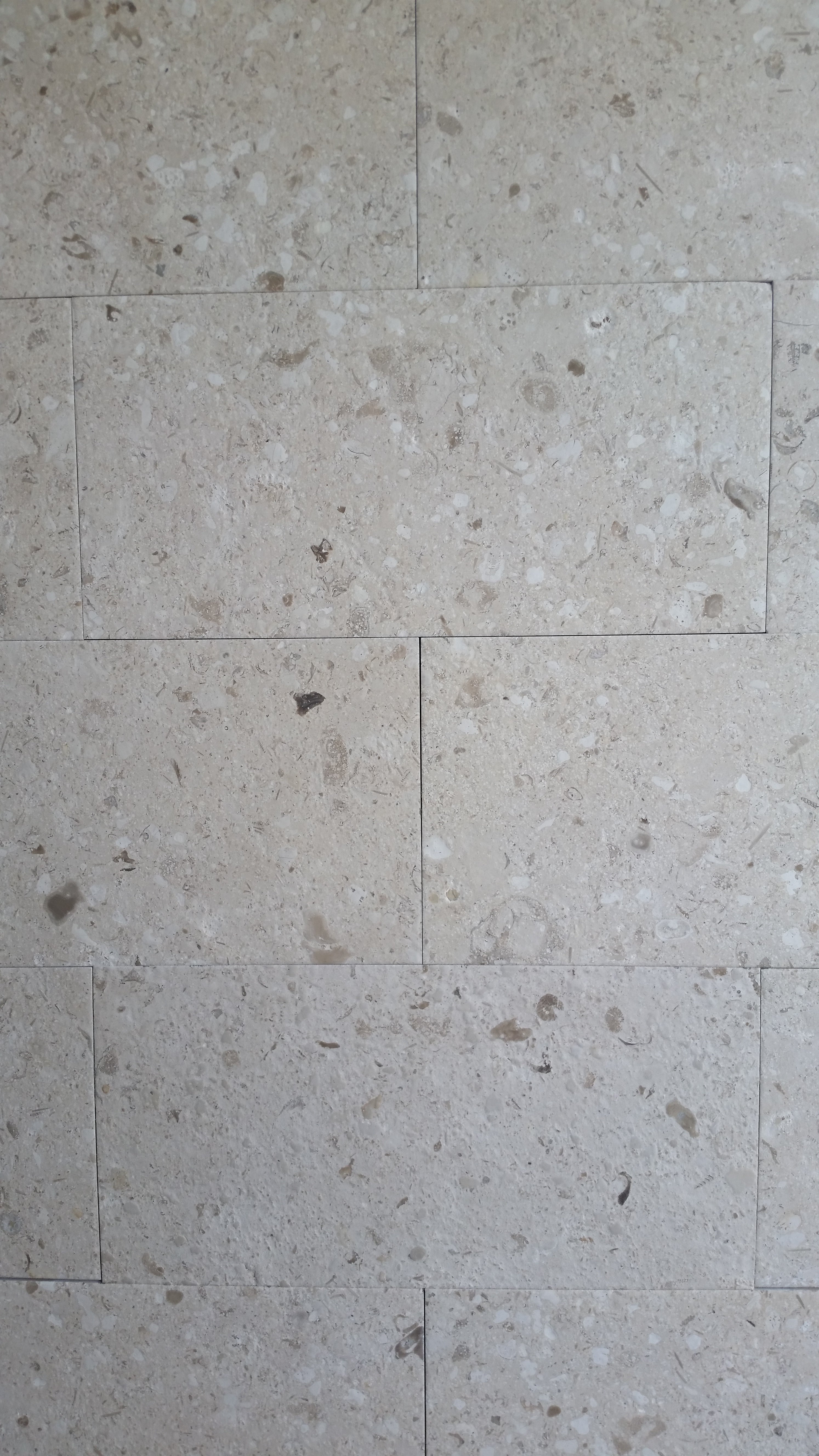 MIRABELLE Limestone Brushed Tile