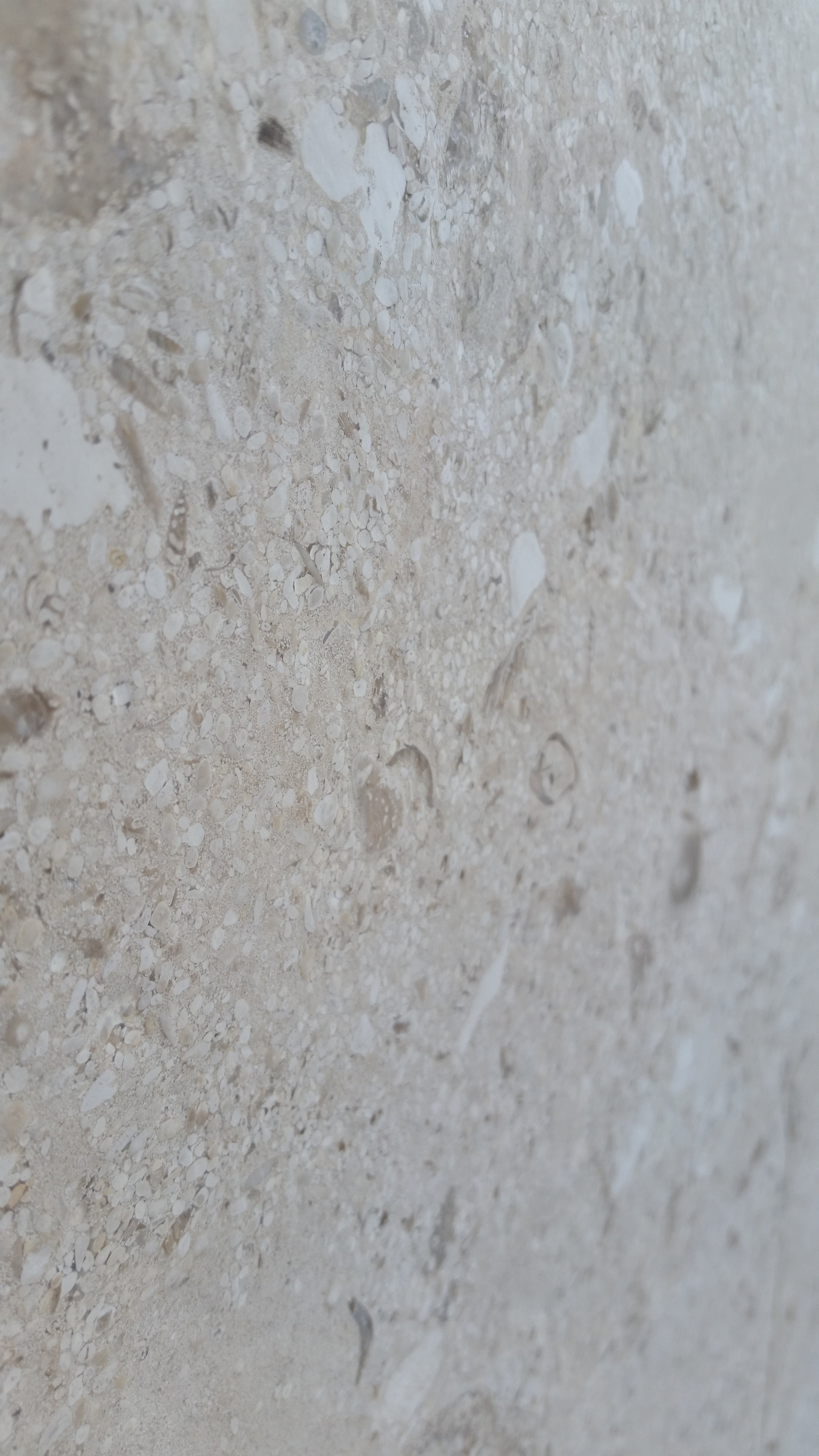 MIRABELLE Limestone Brushed Tile