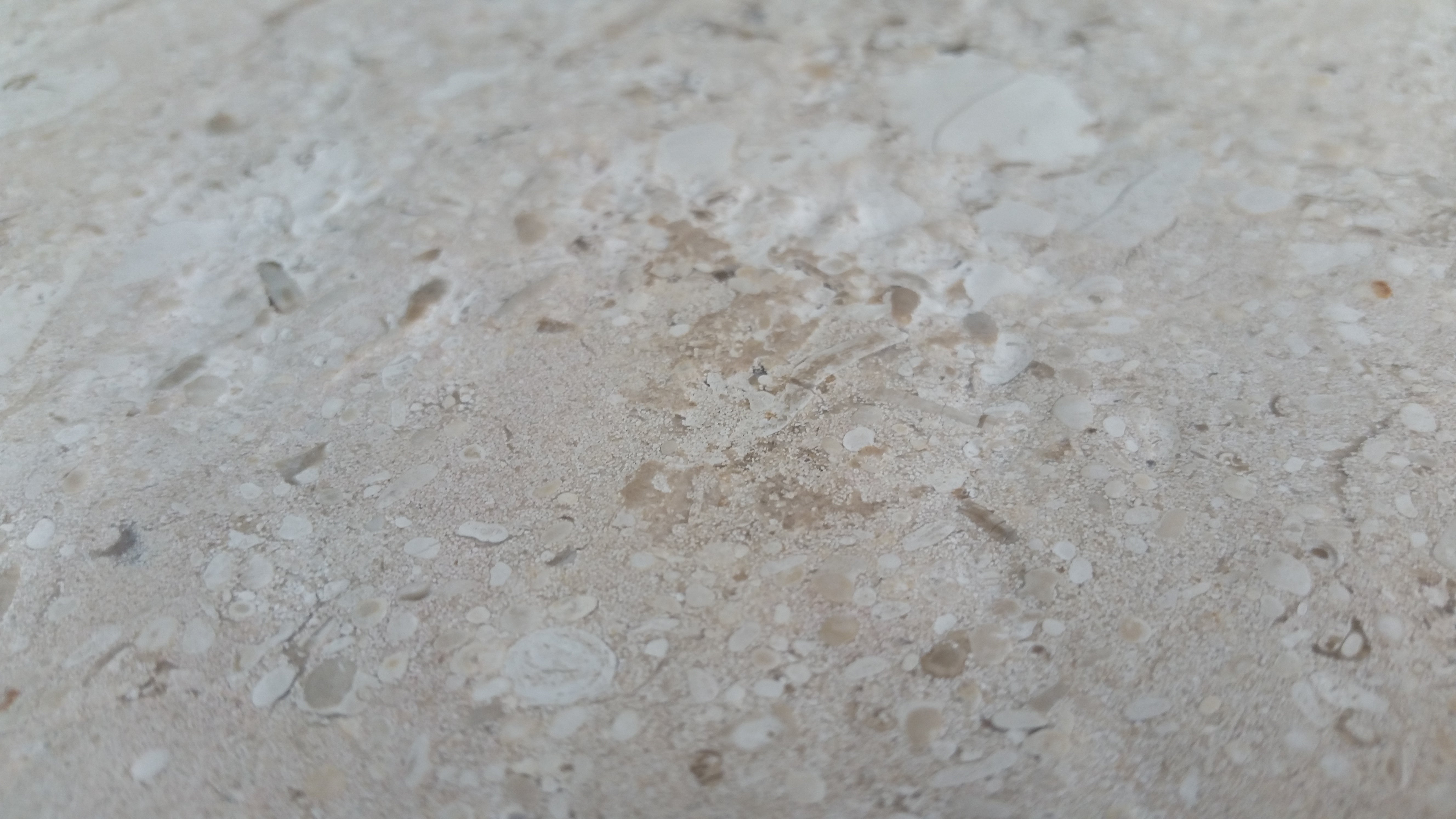 MIRABELLE Limestone Brushed Tile