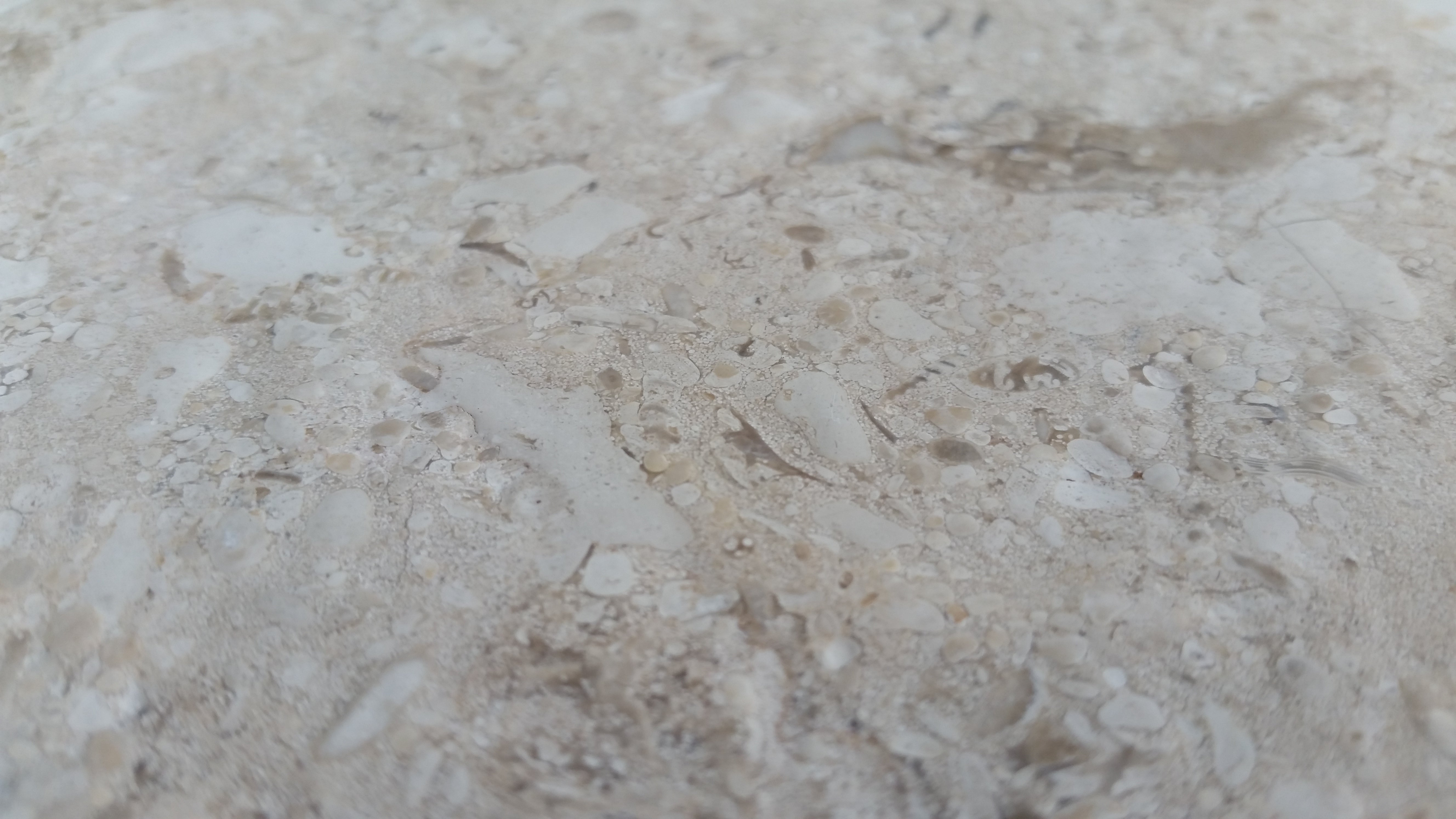 MIRABELLE Limestone Brushed Tile