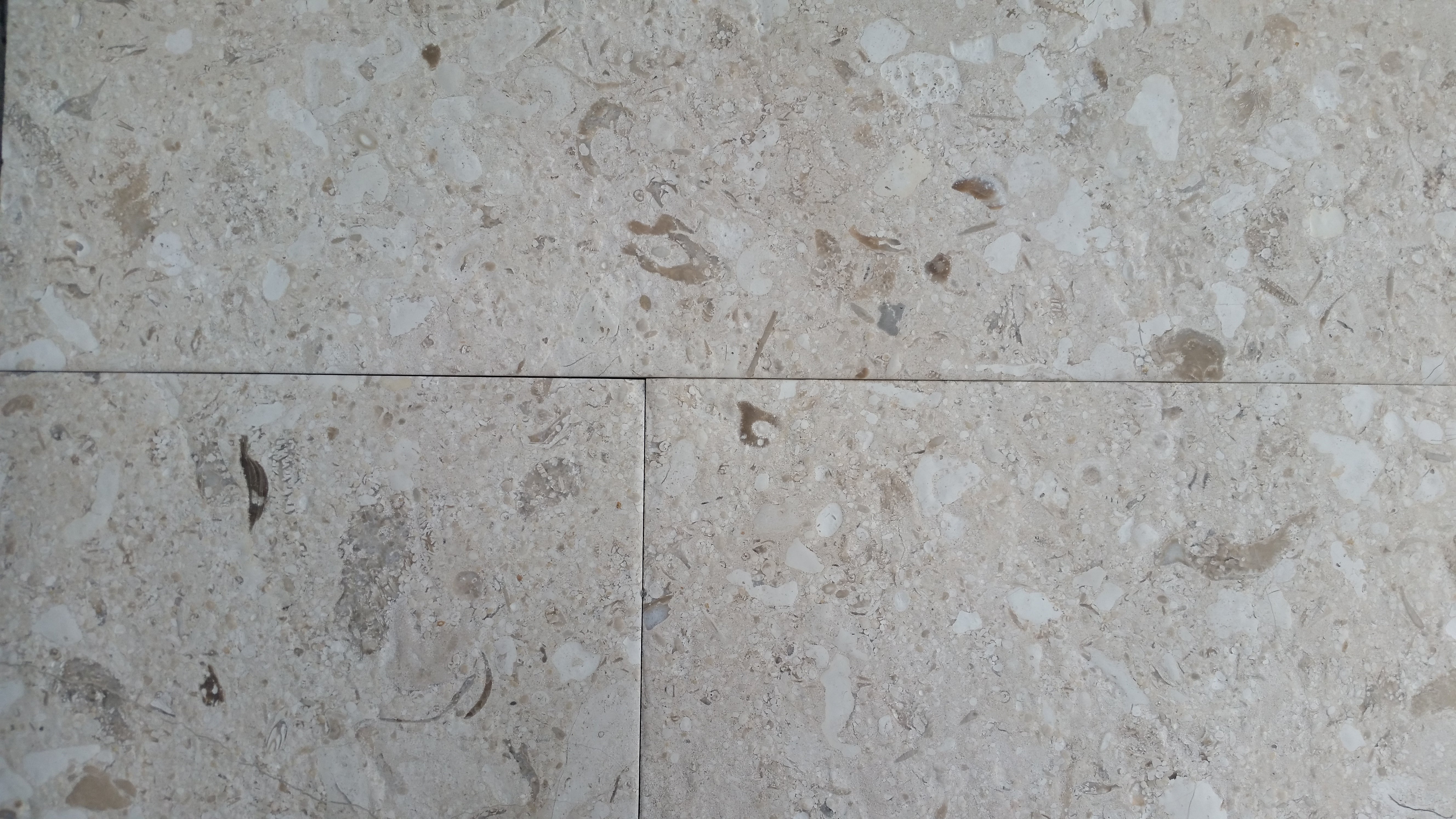 MIRABELLE Limestone Brushed Tile