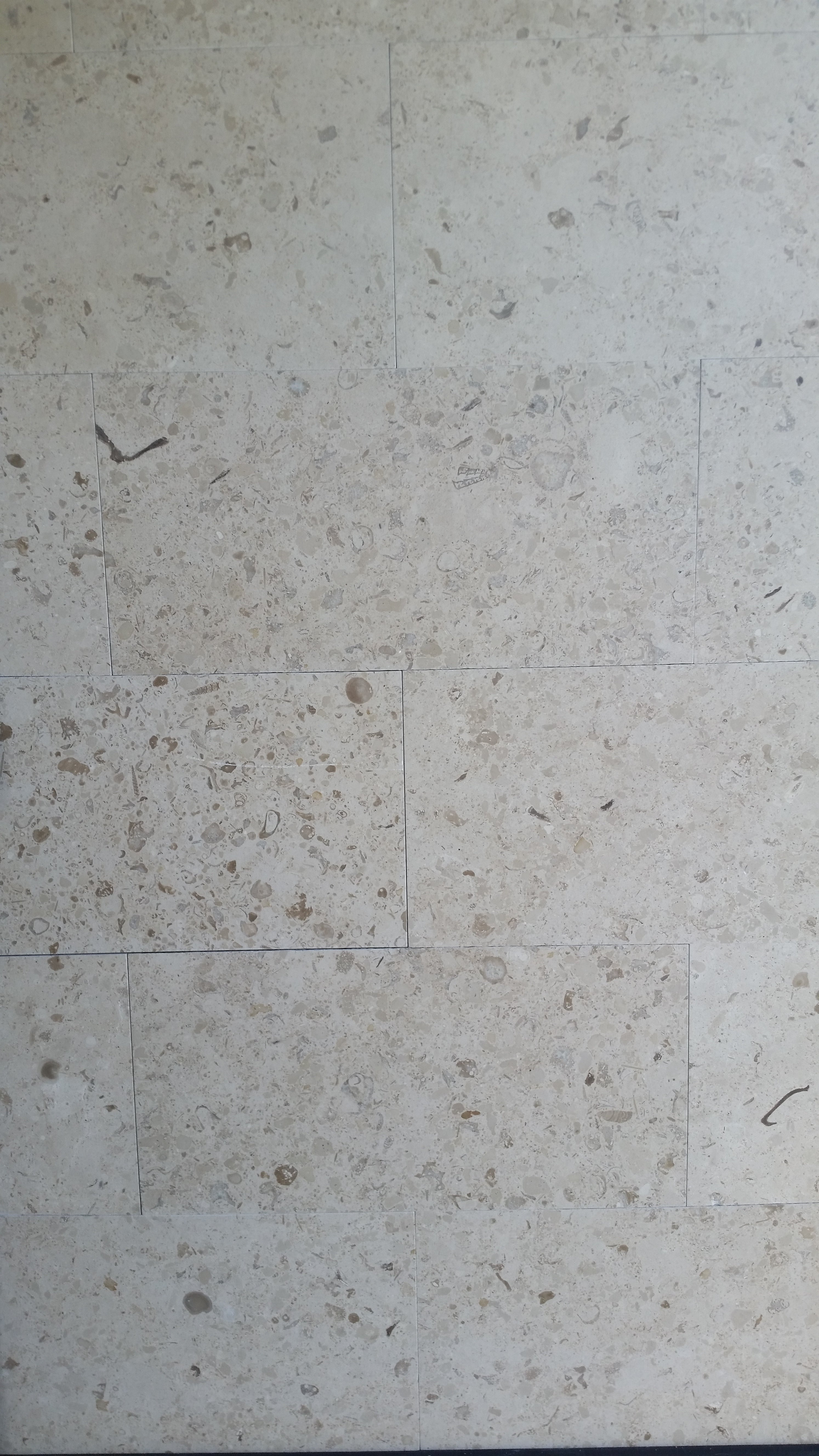 MIRABELLE Limestone Honed Tile