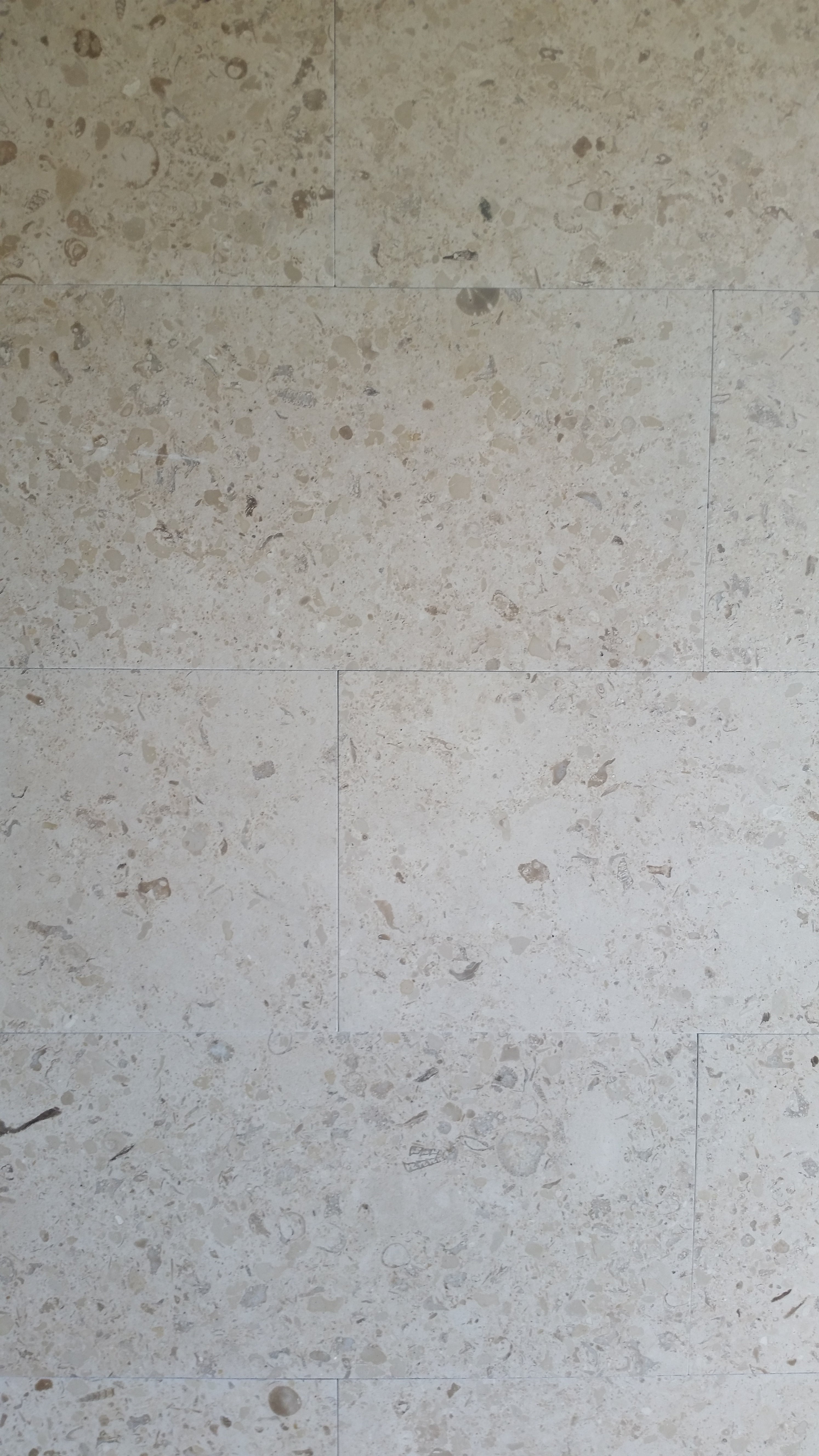 MIRABELLE Limestone Honed Tile