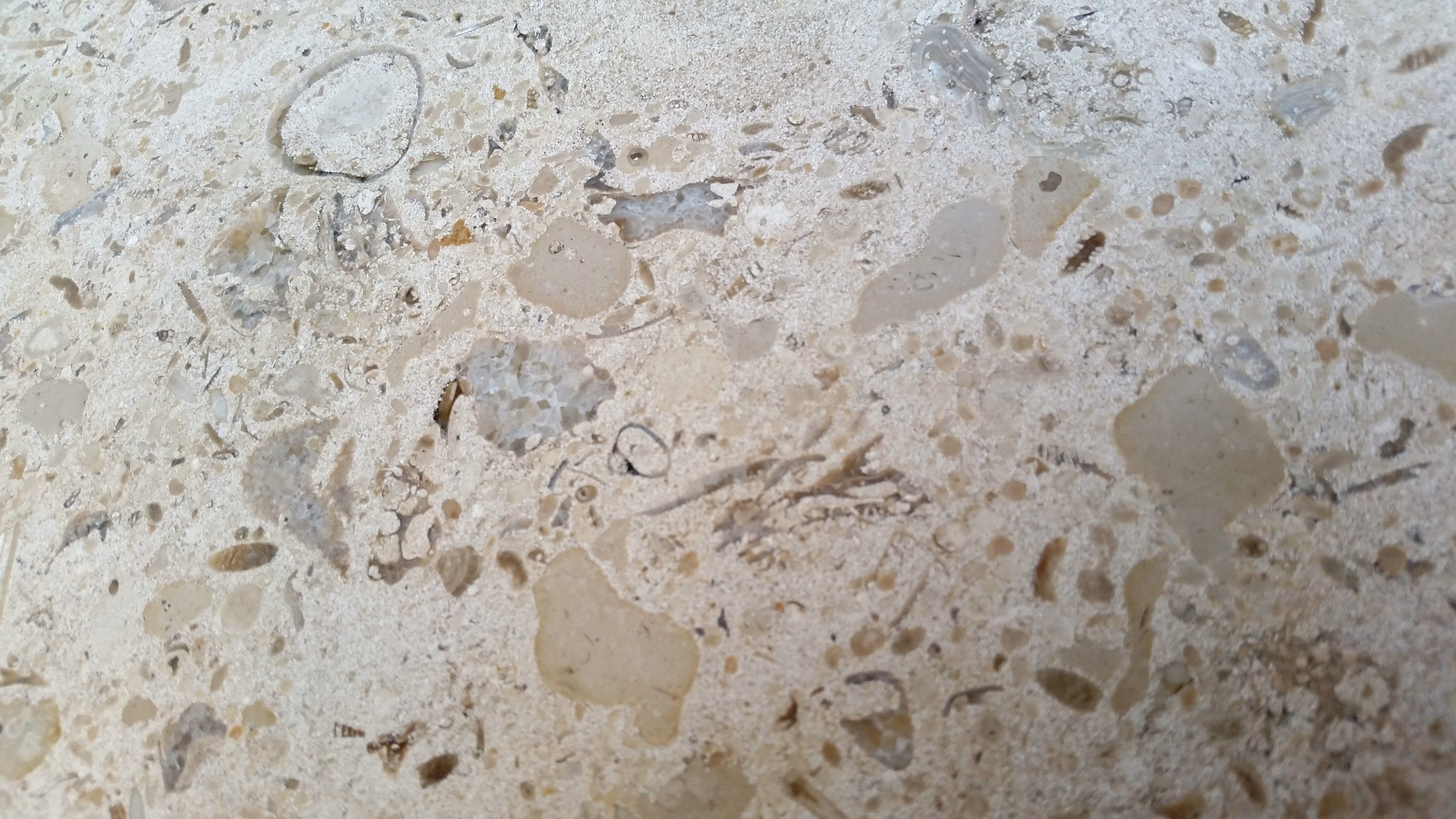 MIRABELLE Limestone Honed Tile