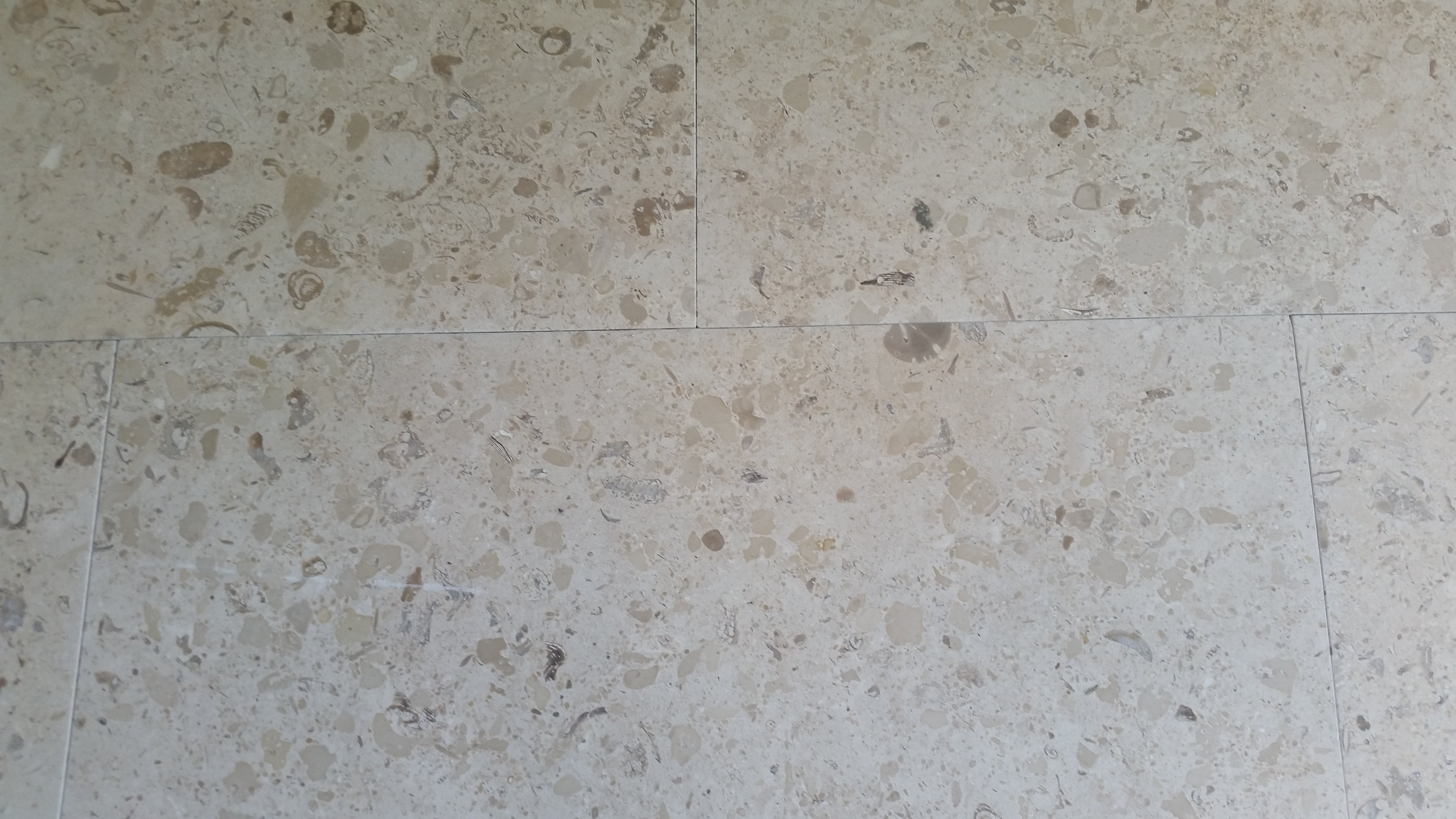 MIRABELLE Limestone Honed Tile