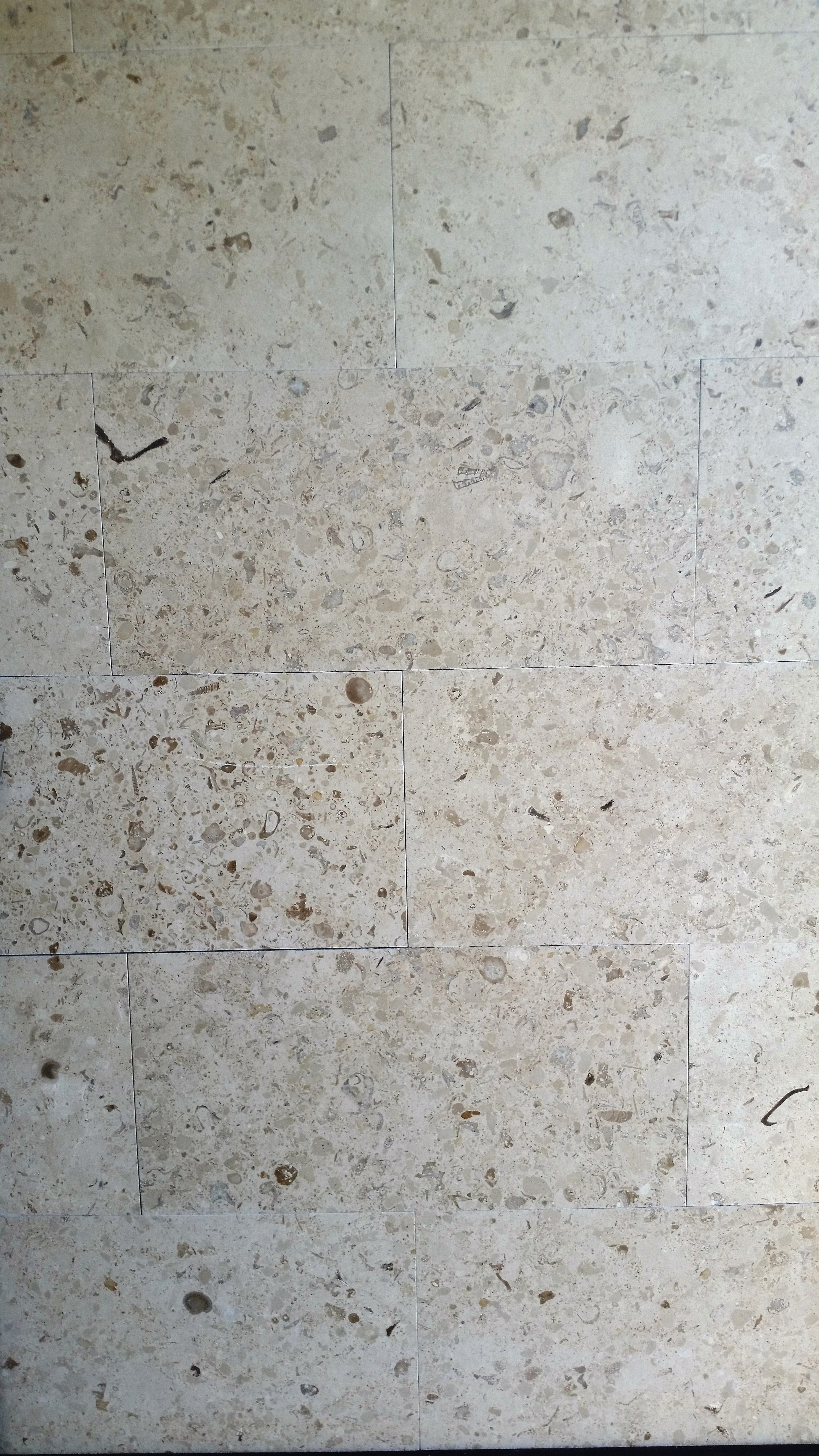 MIRABELLE Limestone Honed Tile