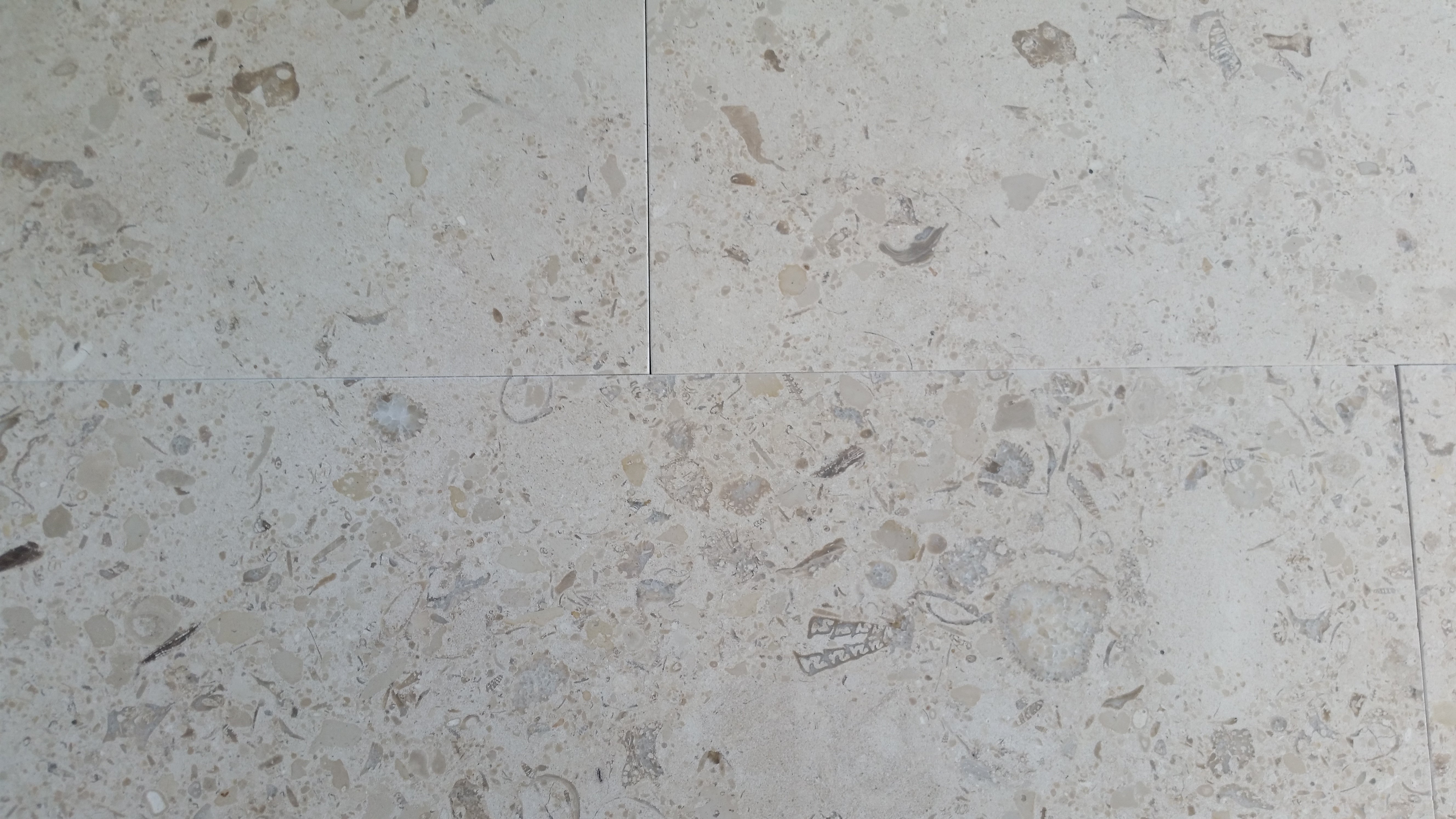 MIRABELLE Limestone Honed Tile