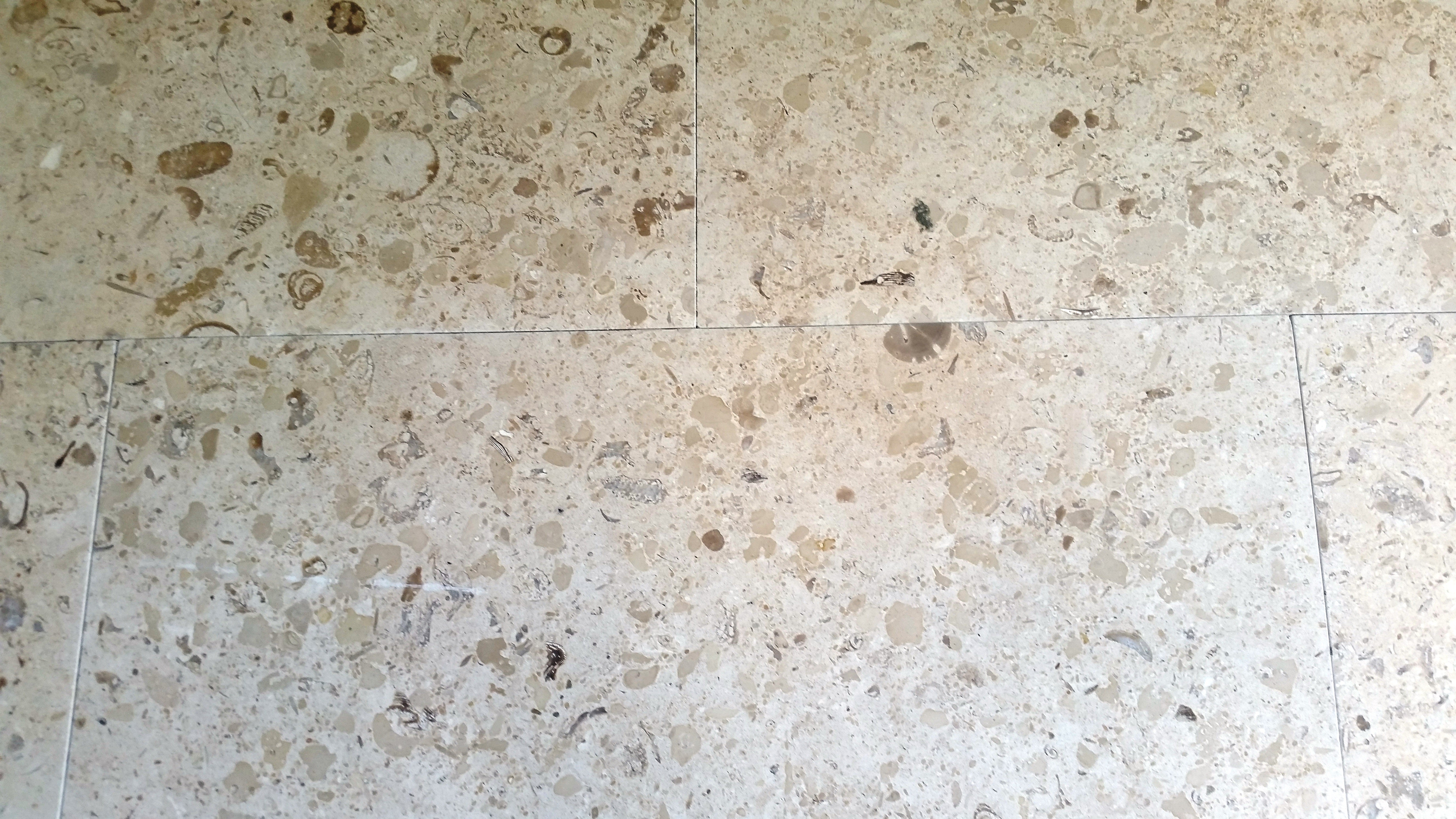 MIRABELLE Limestone Honed Tile