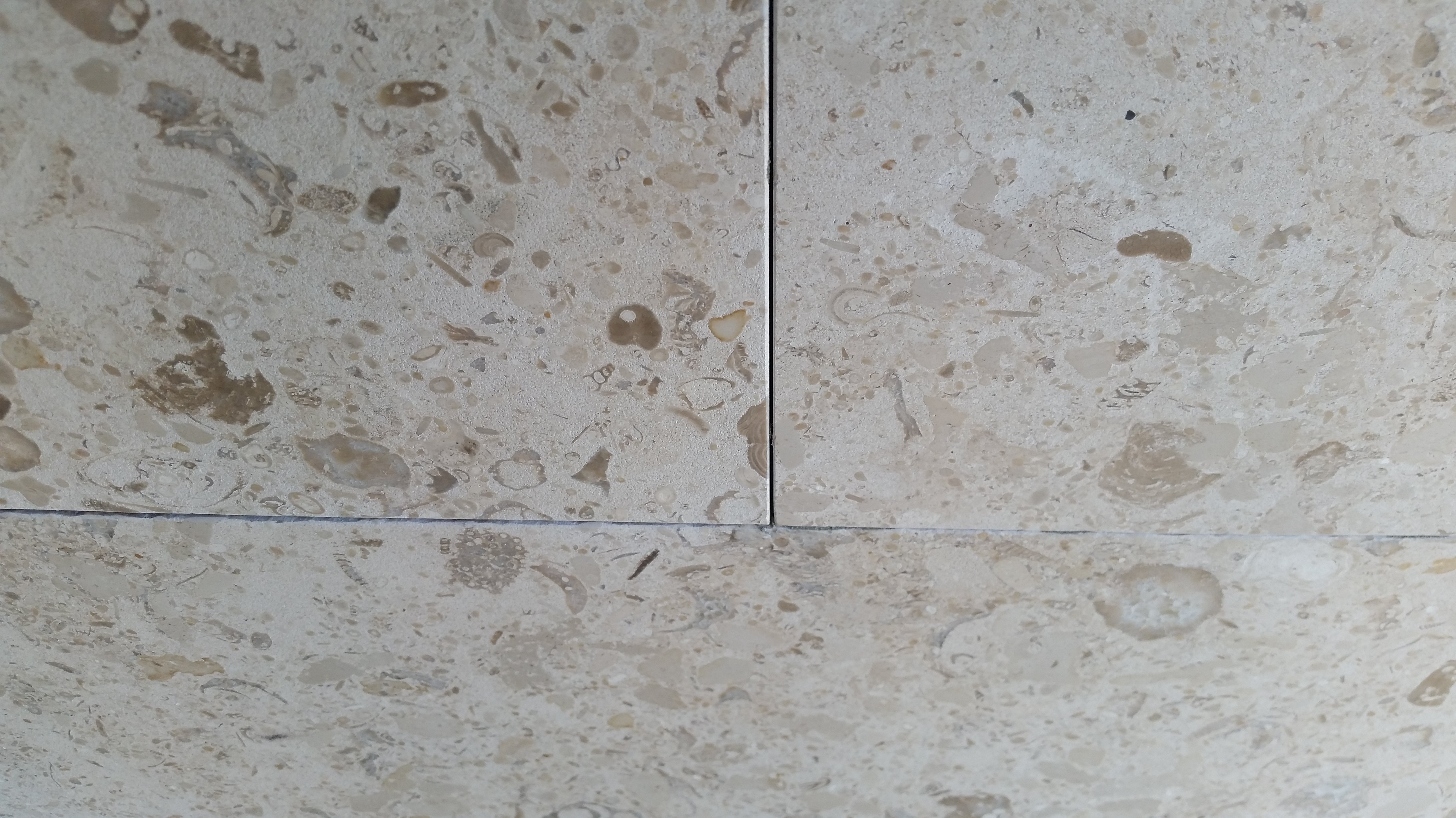 MIRABELLE Limestone Honed Tile