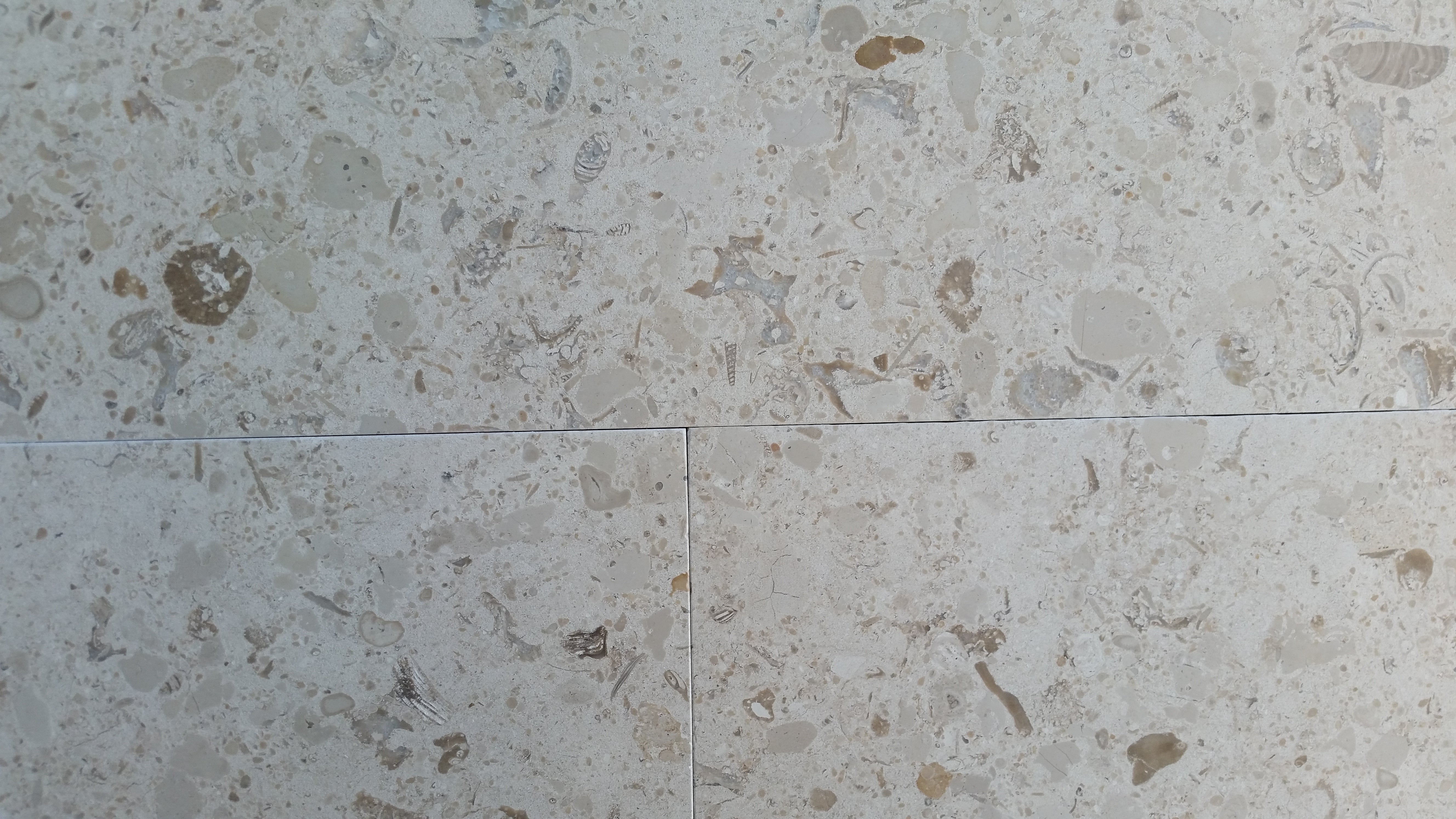MIRABELLE Limestone Honed Tile