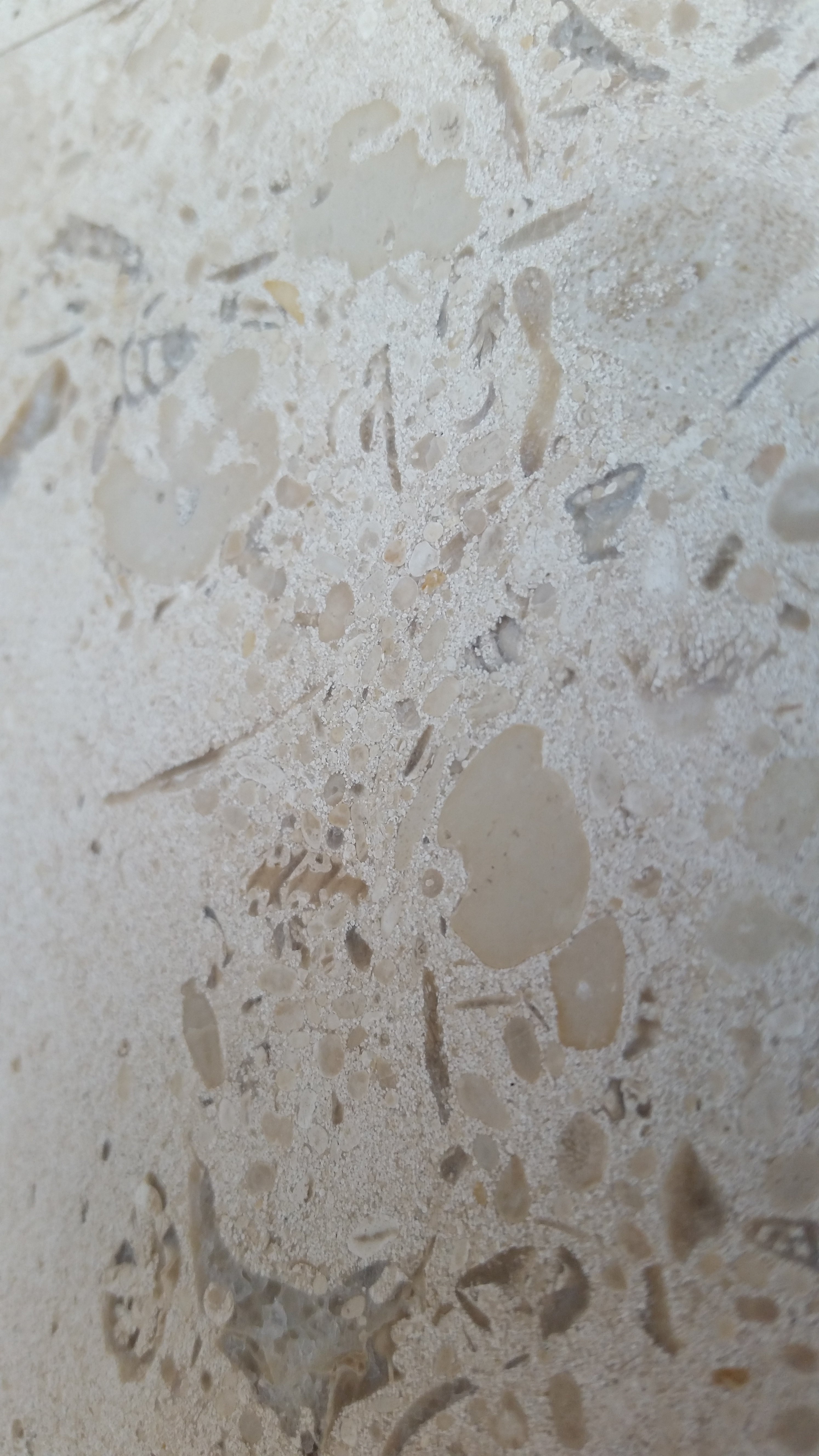 MIRABELLE Limestone Honed Tile