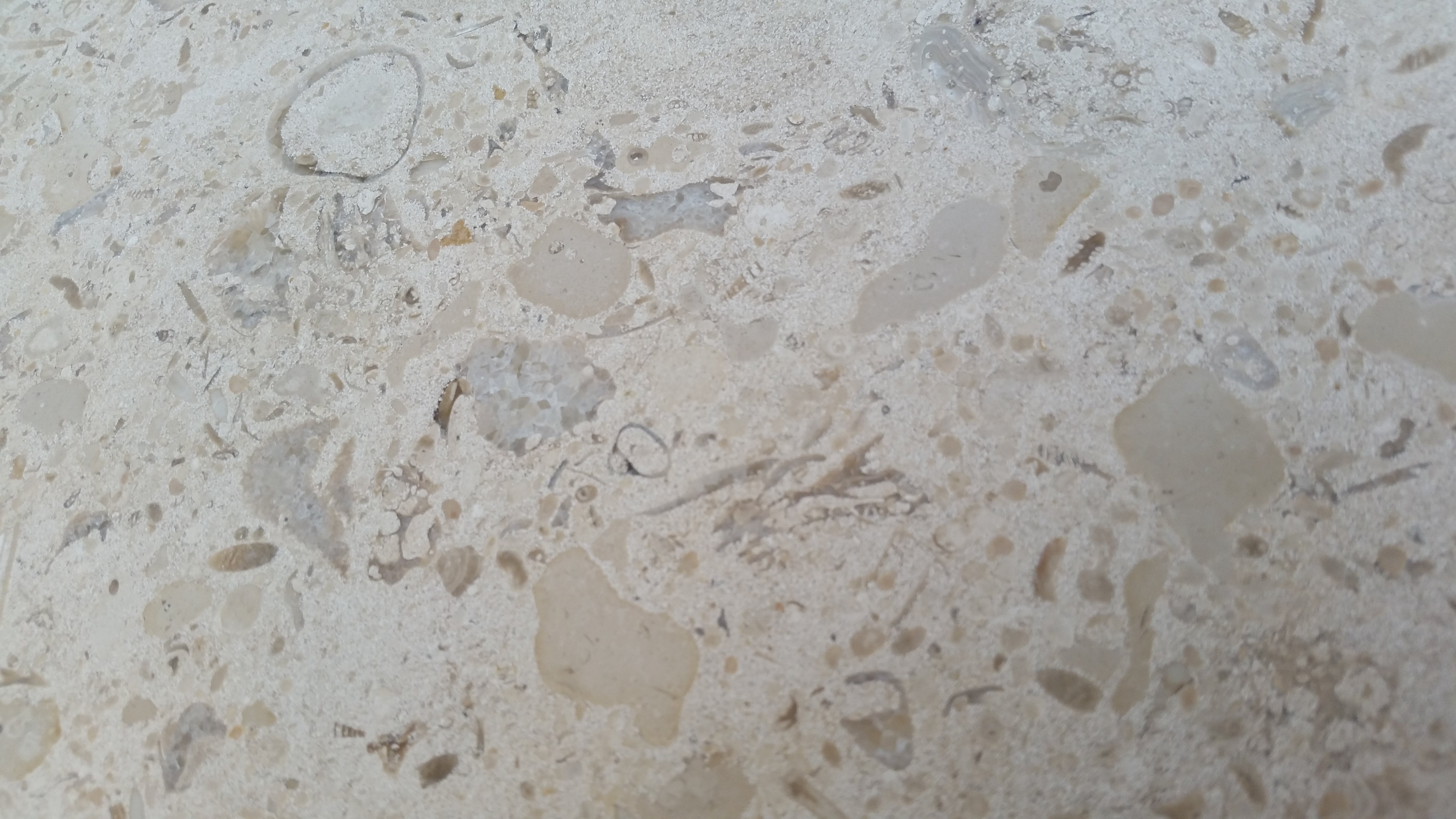 MIRABELLE Limestone Honed Tile