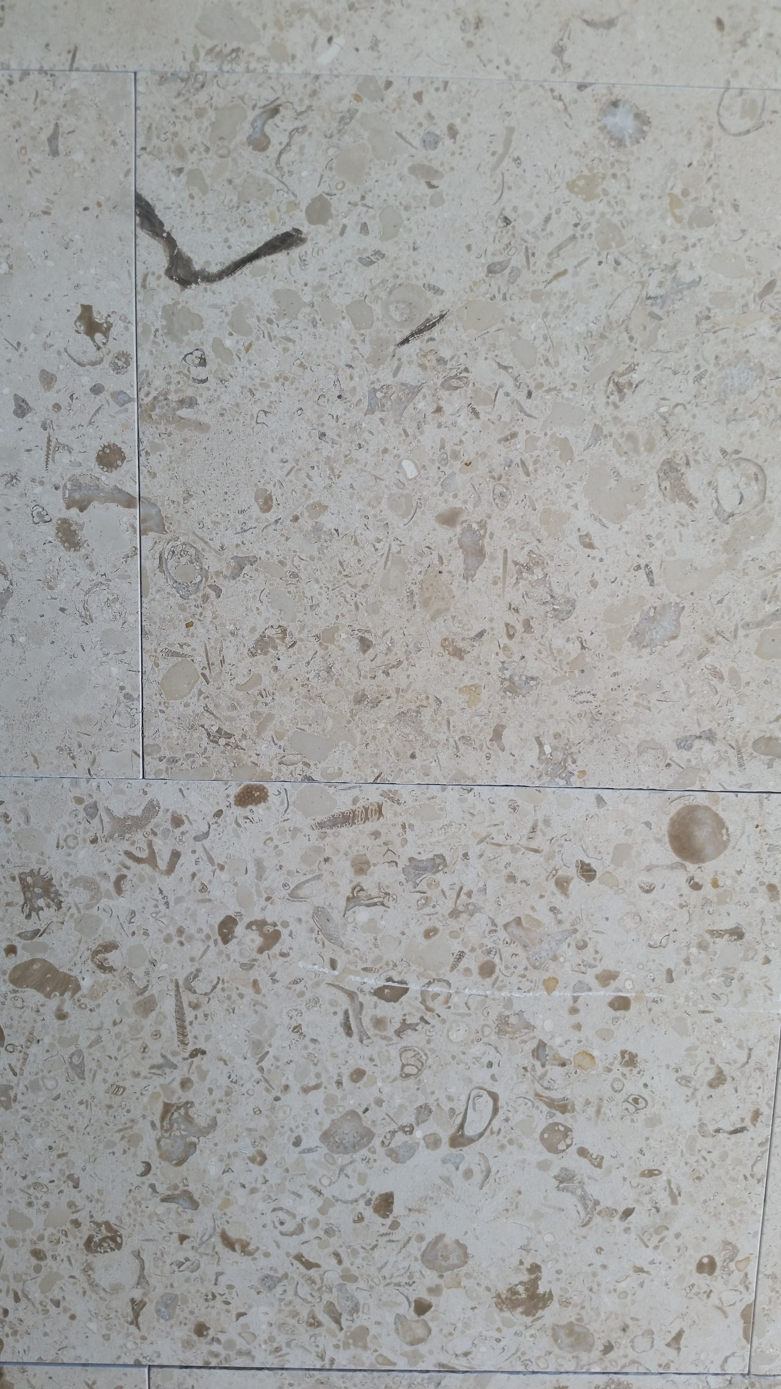 MIRABELLE Limestone Honed Tile