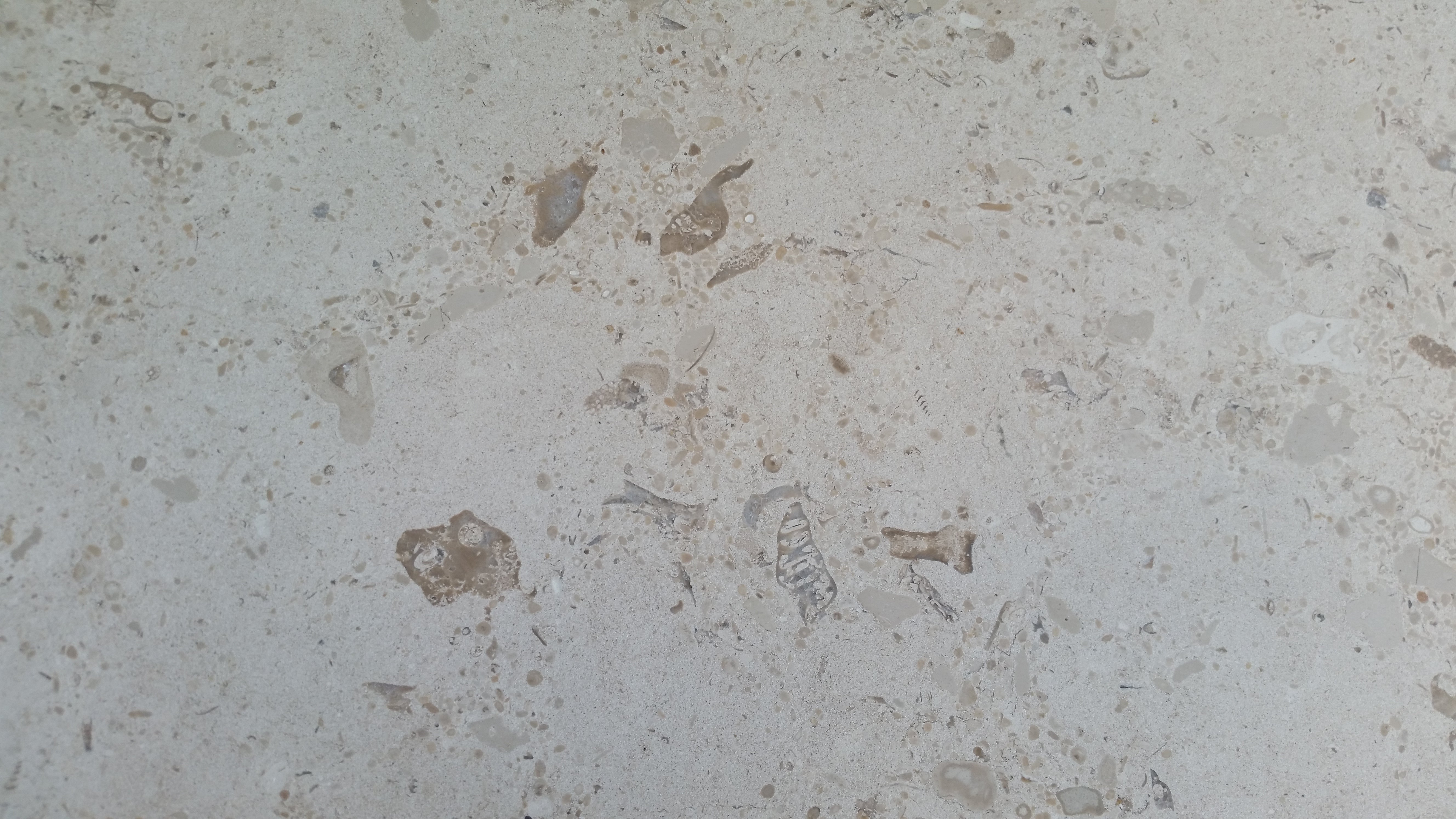 MIRABELLE Limestone Honed Tile