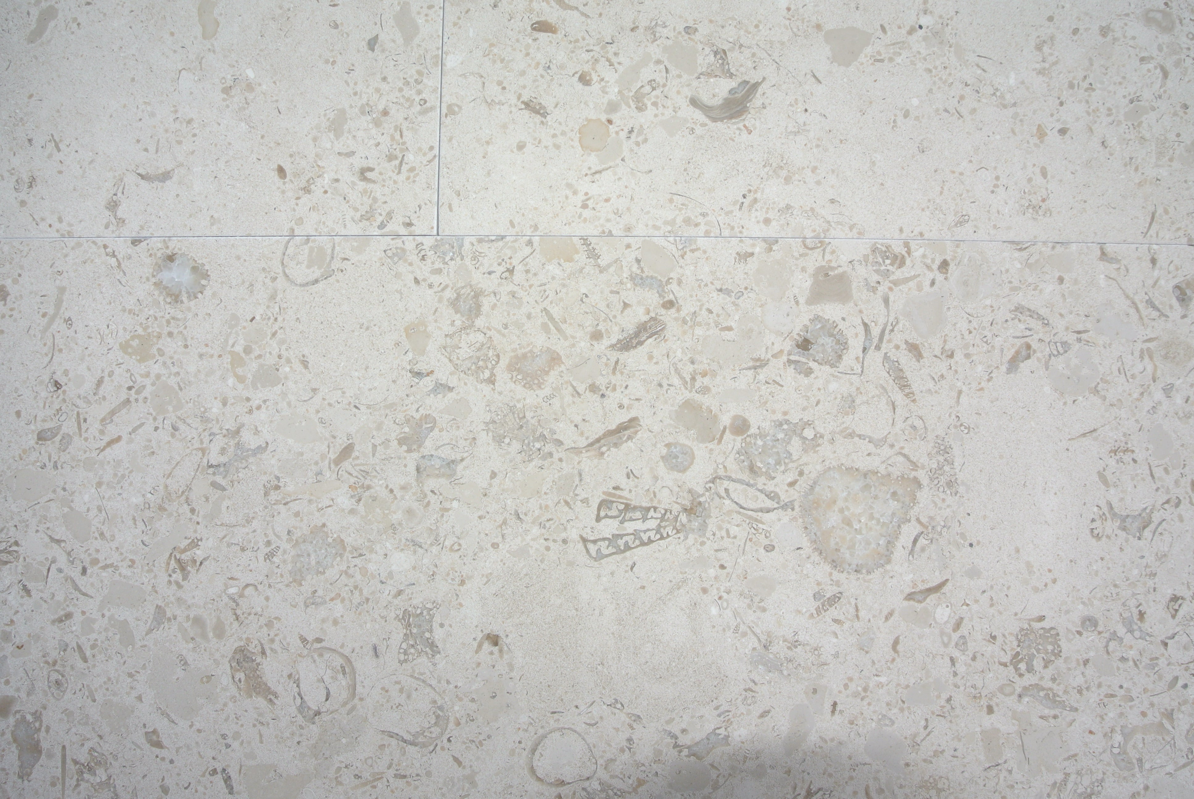 MIRABELLE Limestone Honed Tile
