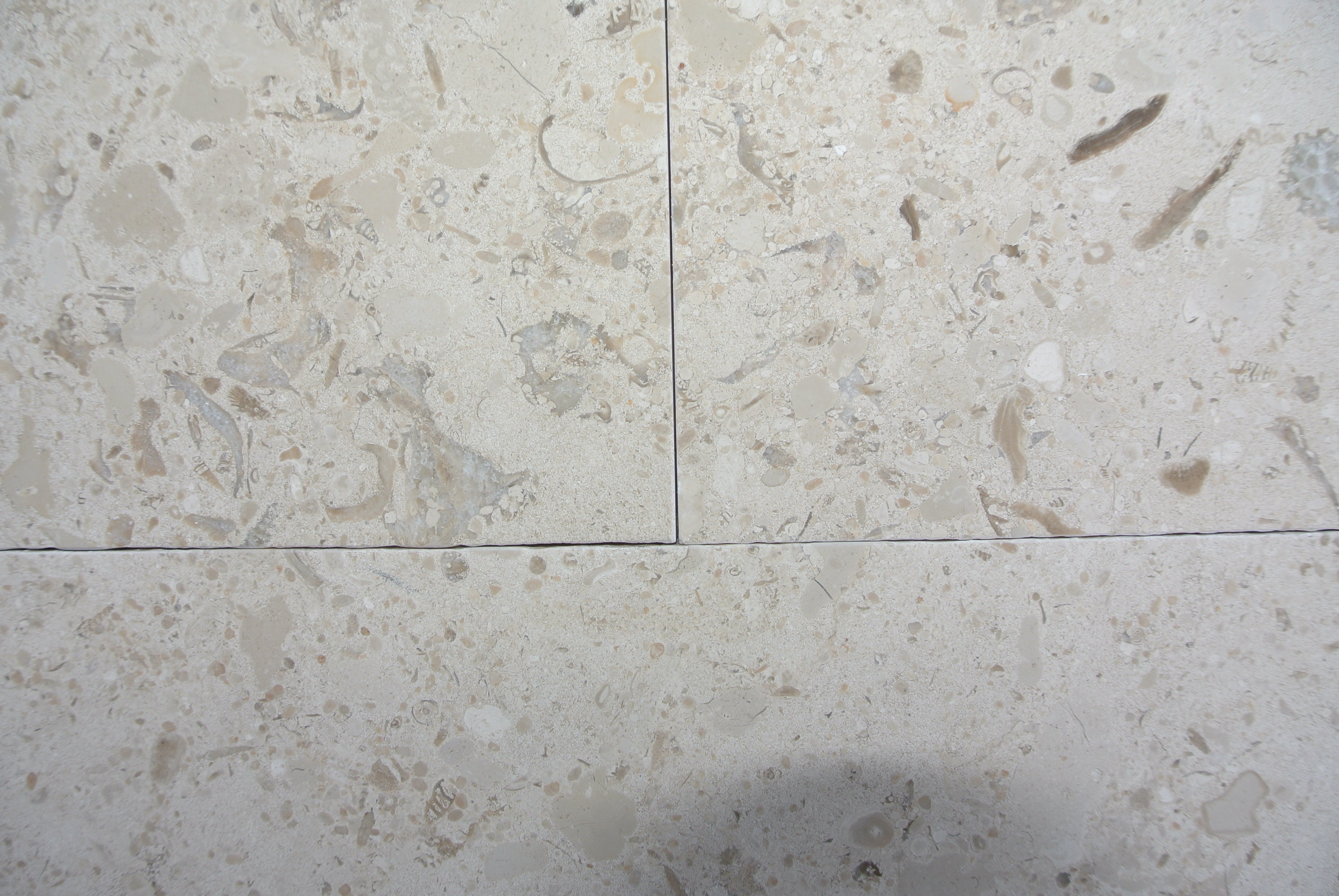 MIRABELLE Limestone Honed Tile