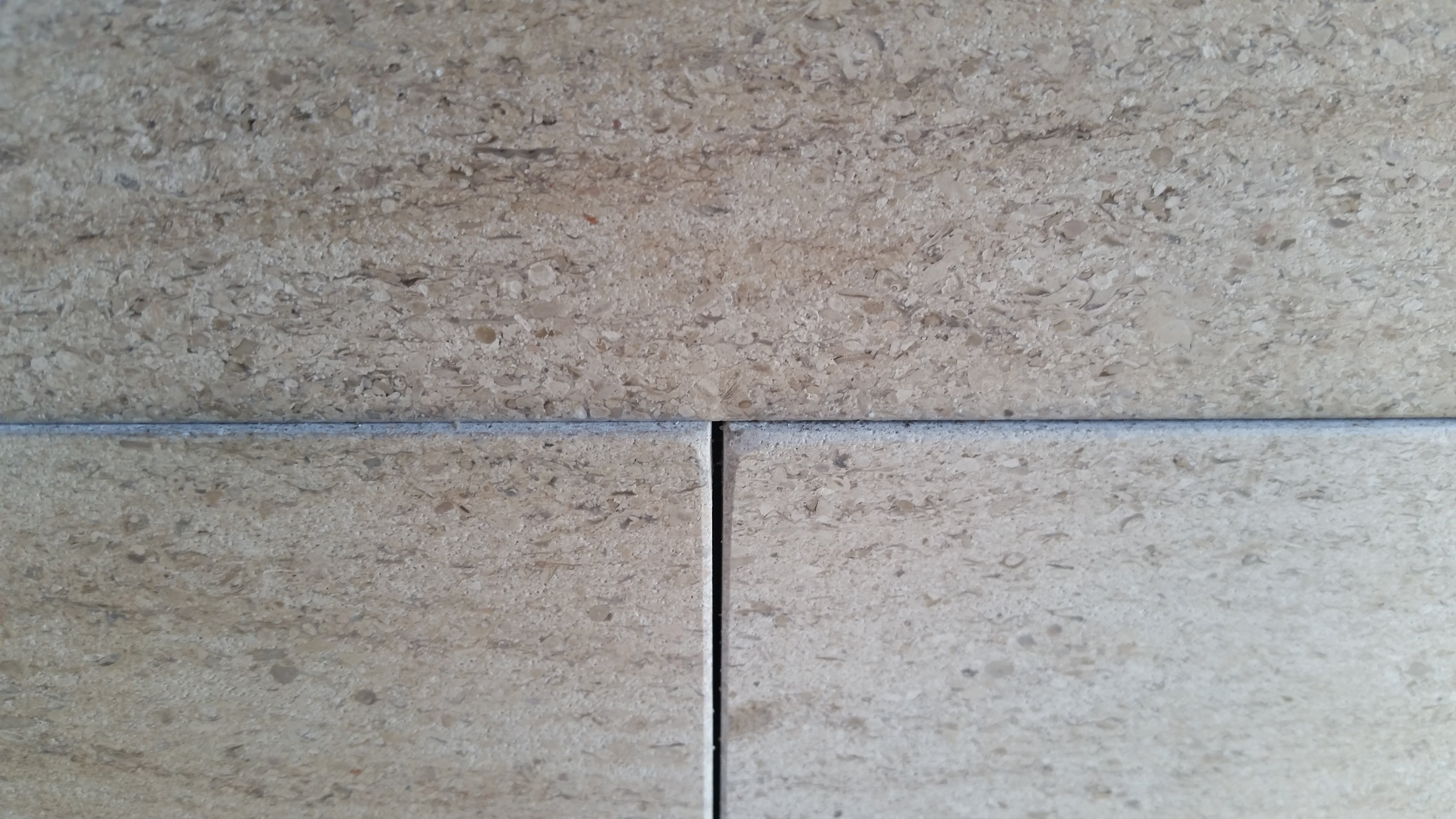 MOCHA CREME BLUE Limestone Honed Tile