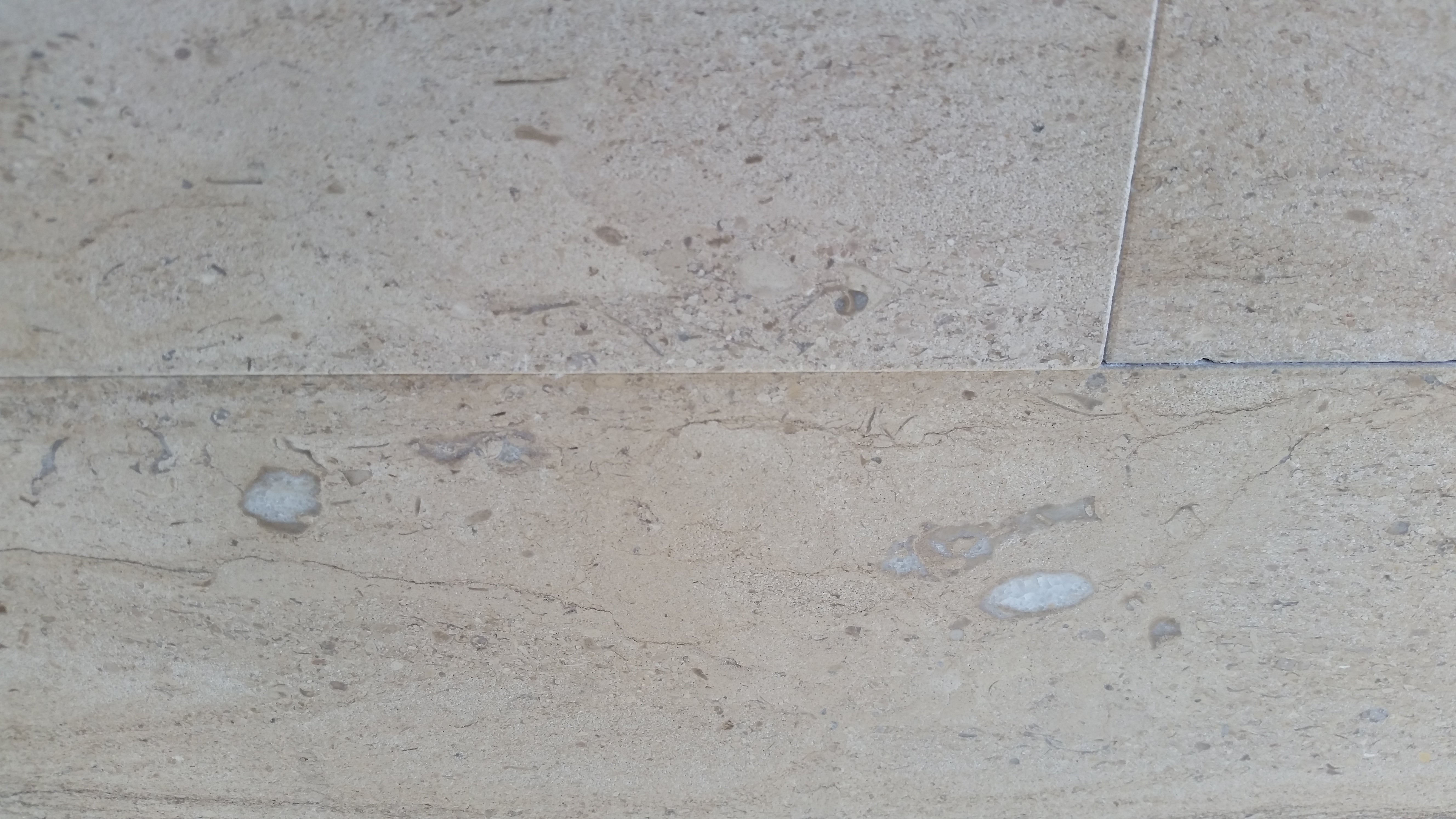 MOCHA CREME BLUE Limestone Honed Tile