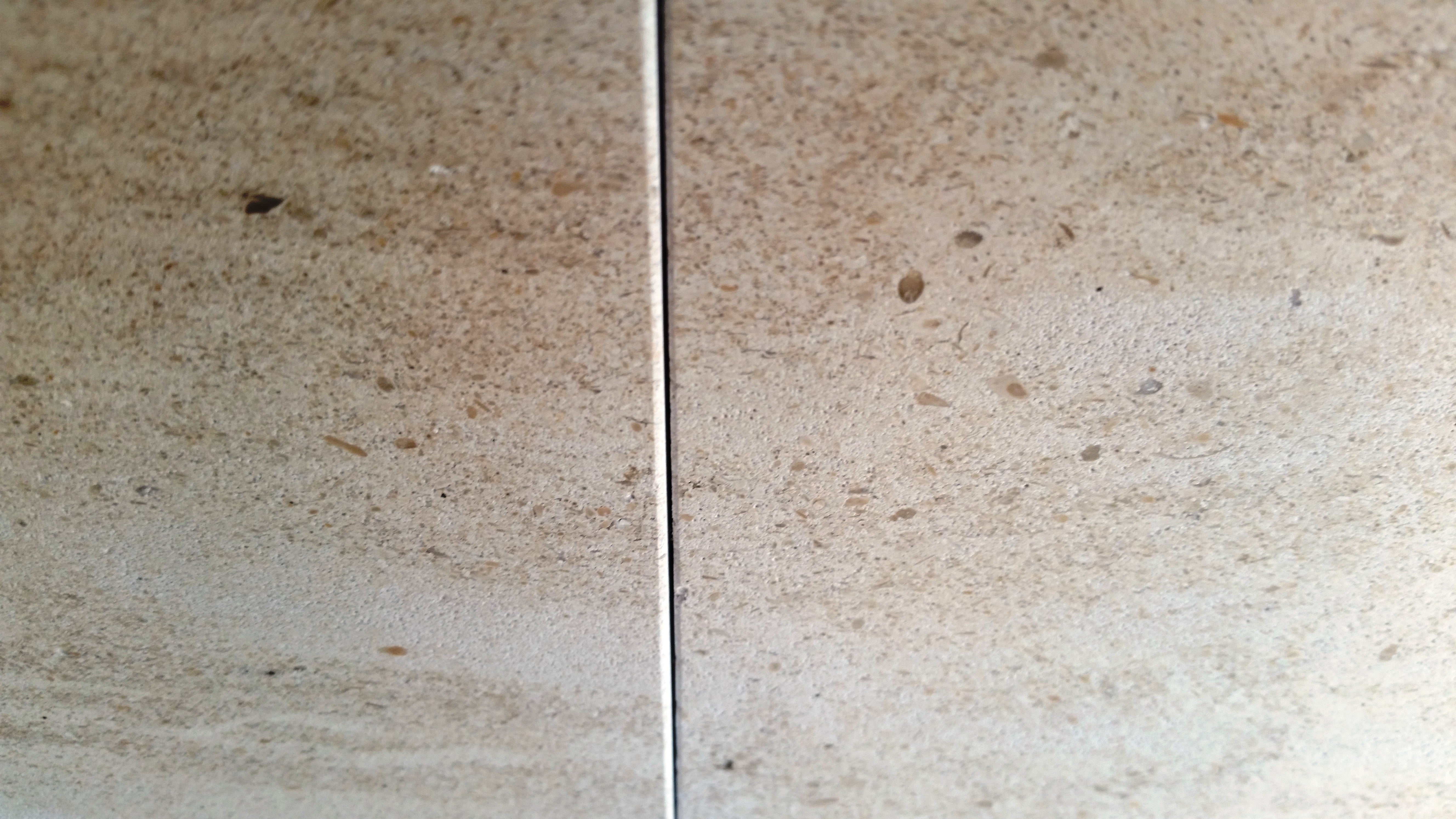 MOCHA CREME VANILLA Limestone Honed Tile