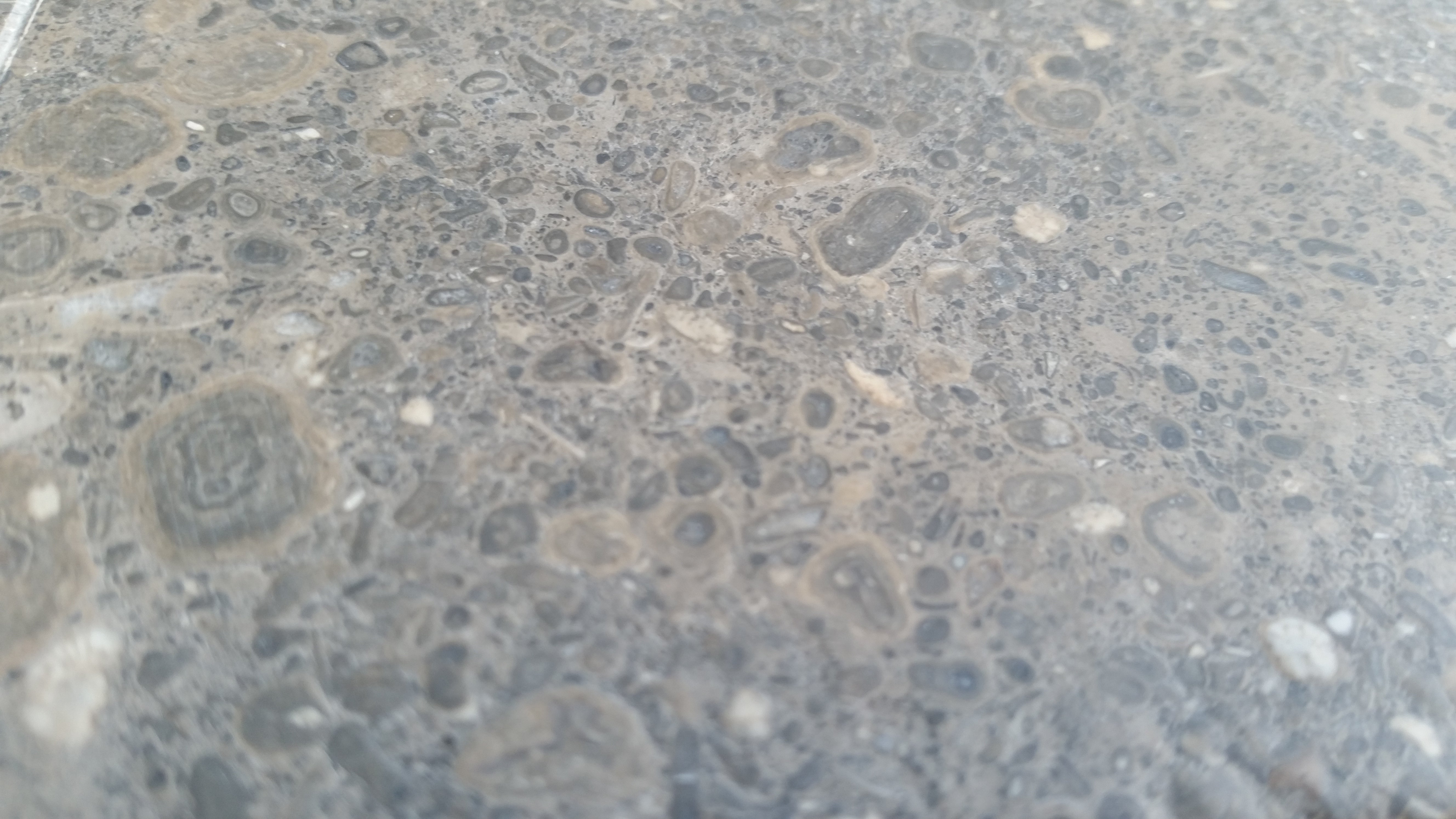 NOVA BLUE Limestone Brushed Tile