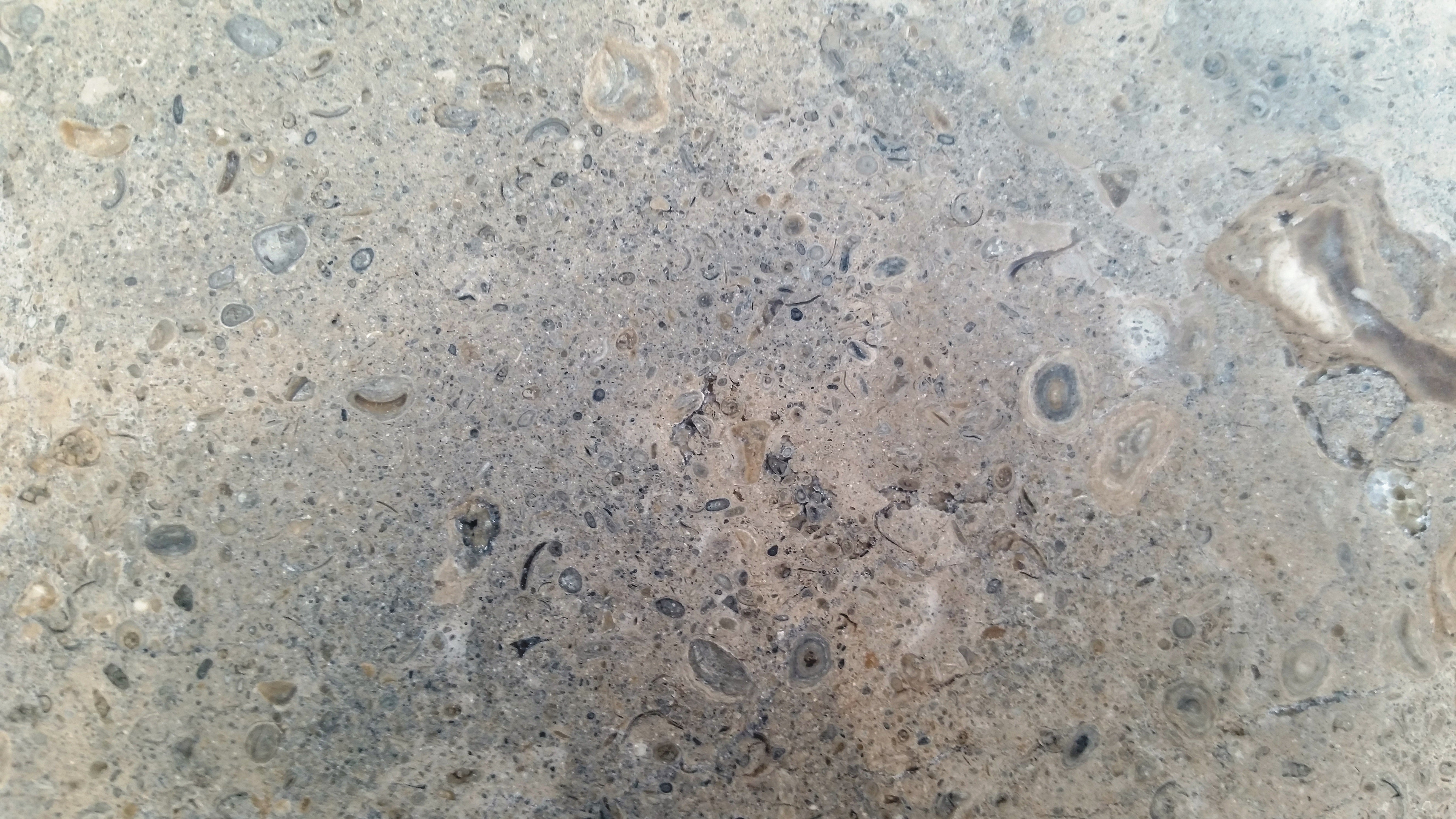 NOVA BLUE Limestone Brushed Tile