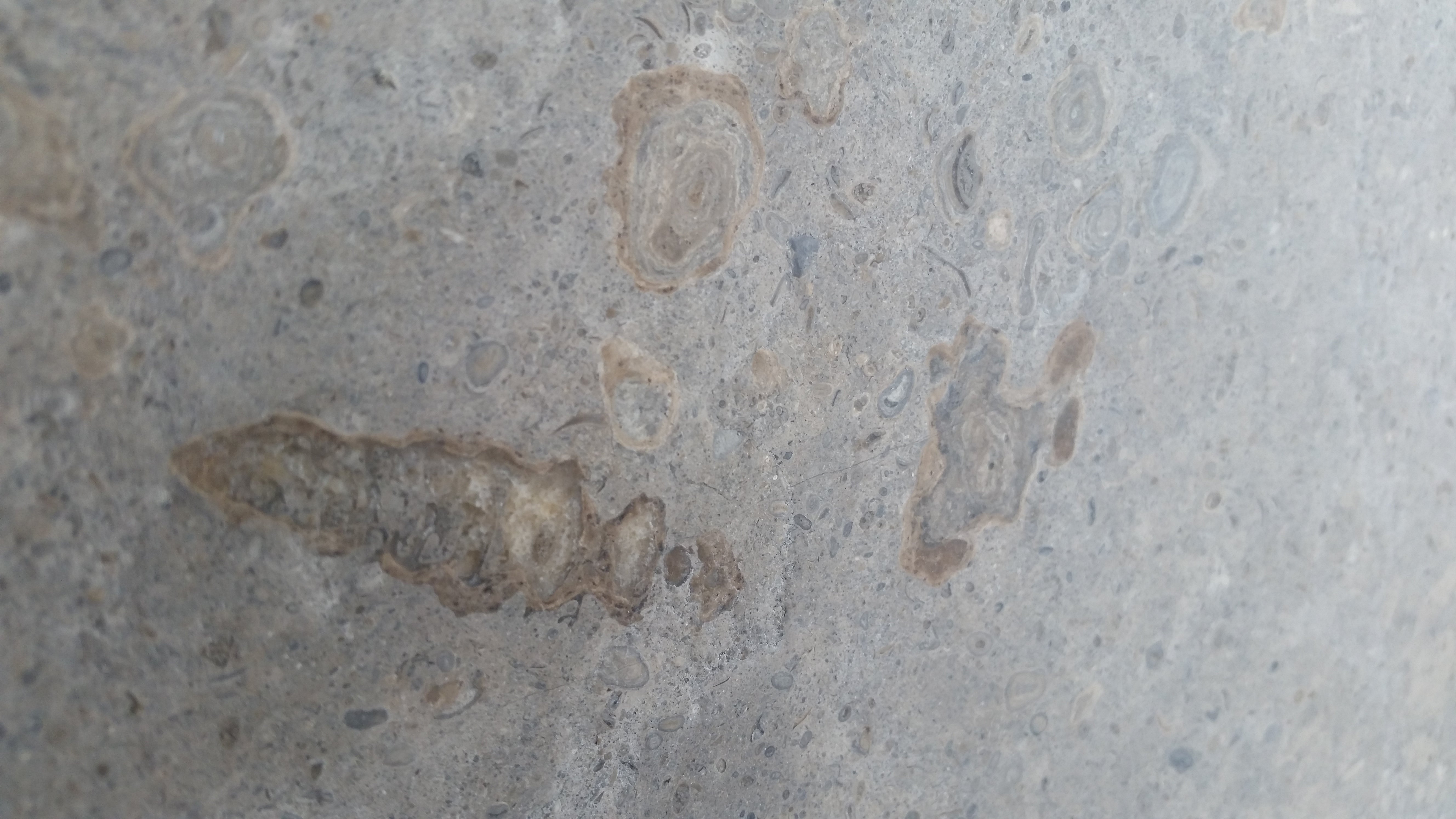 NOVA BLUE Limestone Brushed Tile