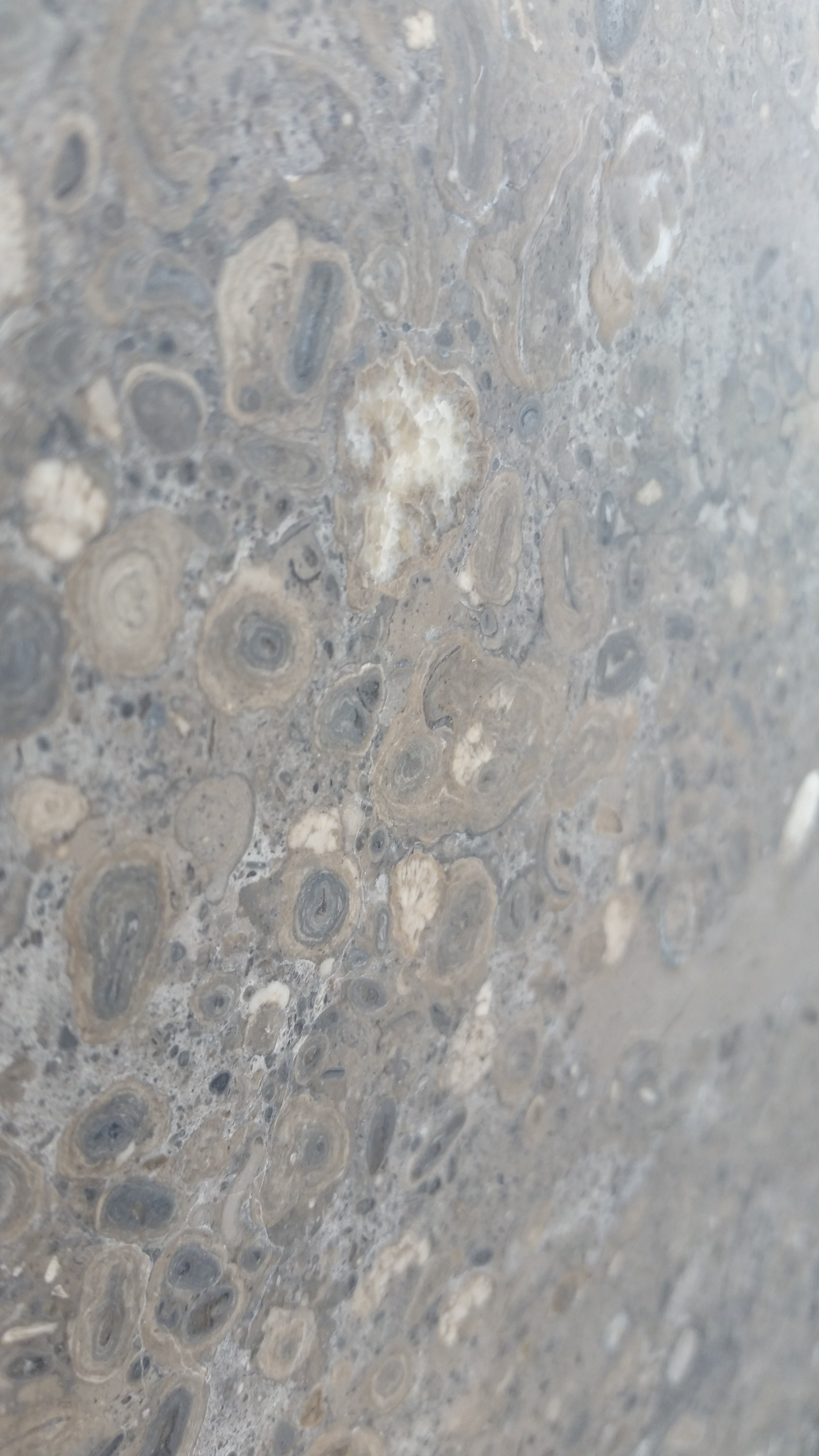 NOVA BLUE Limestone Brushed Tile