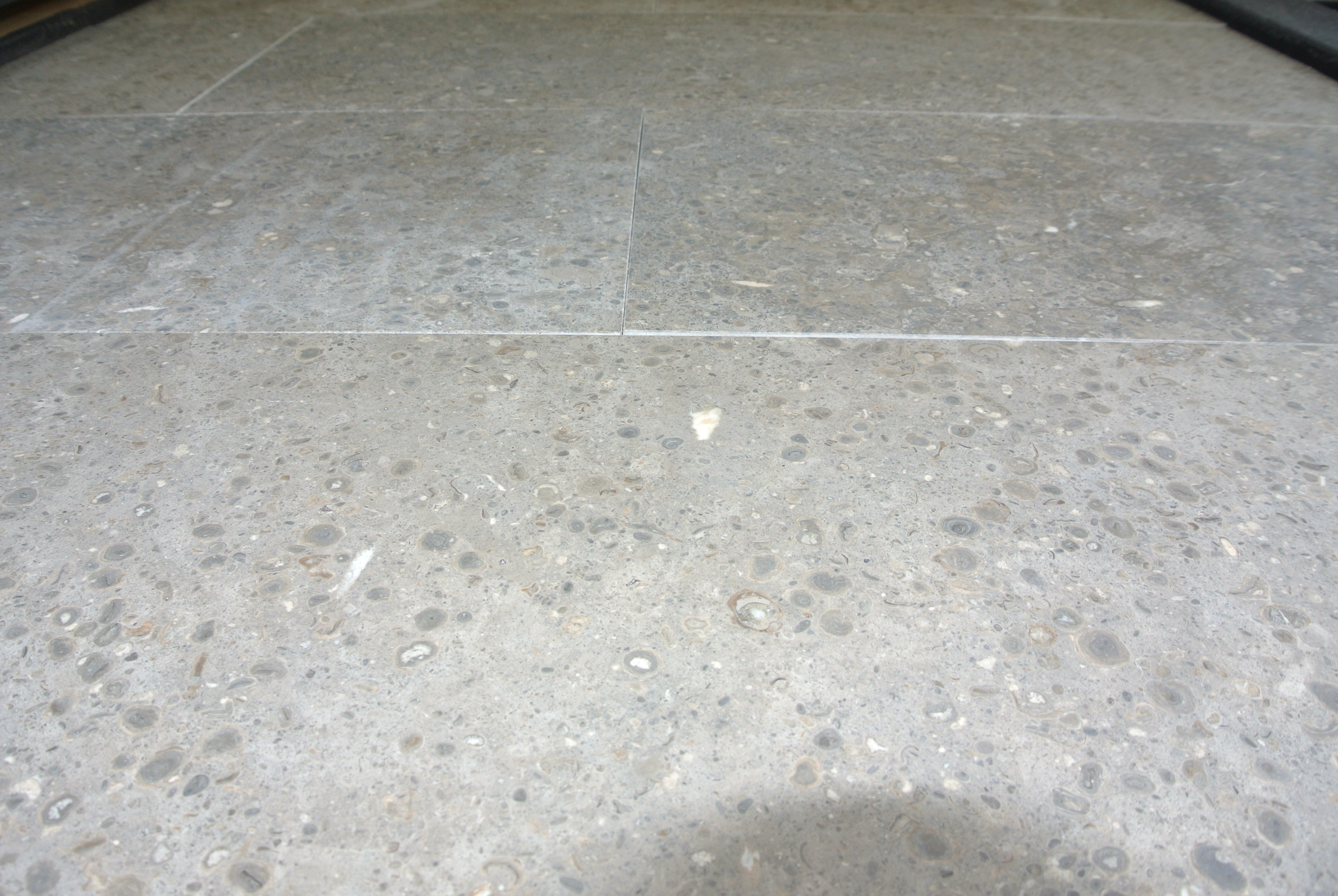 NOVA BLUE Limestone Honed Tile