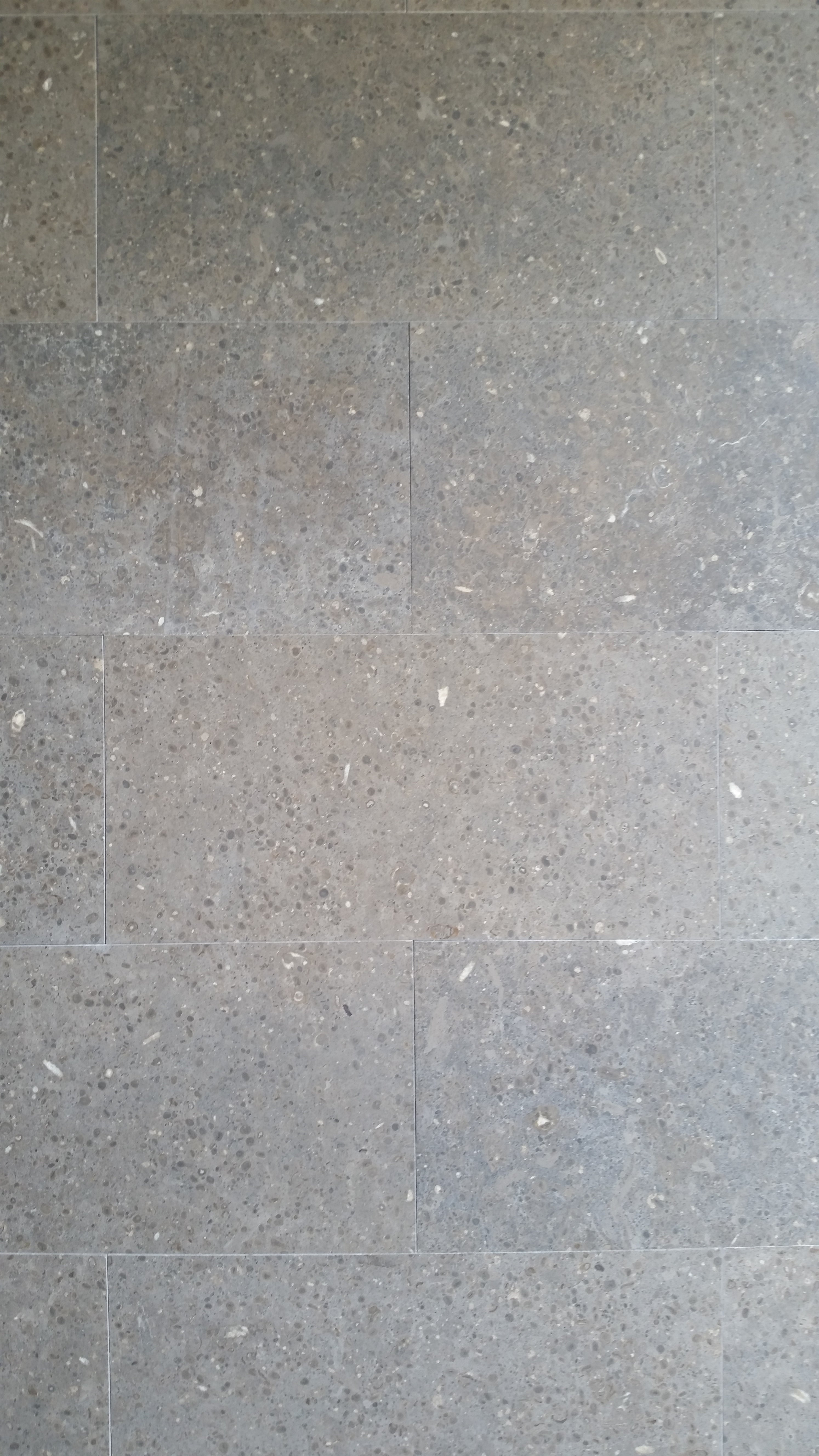 NOVA BLUE Limestone Honed Tile