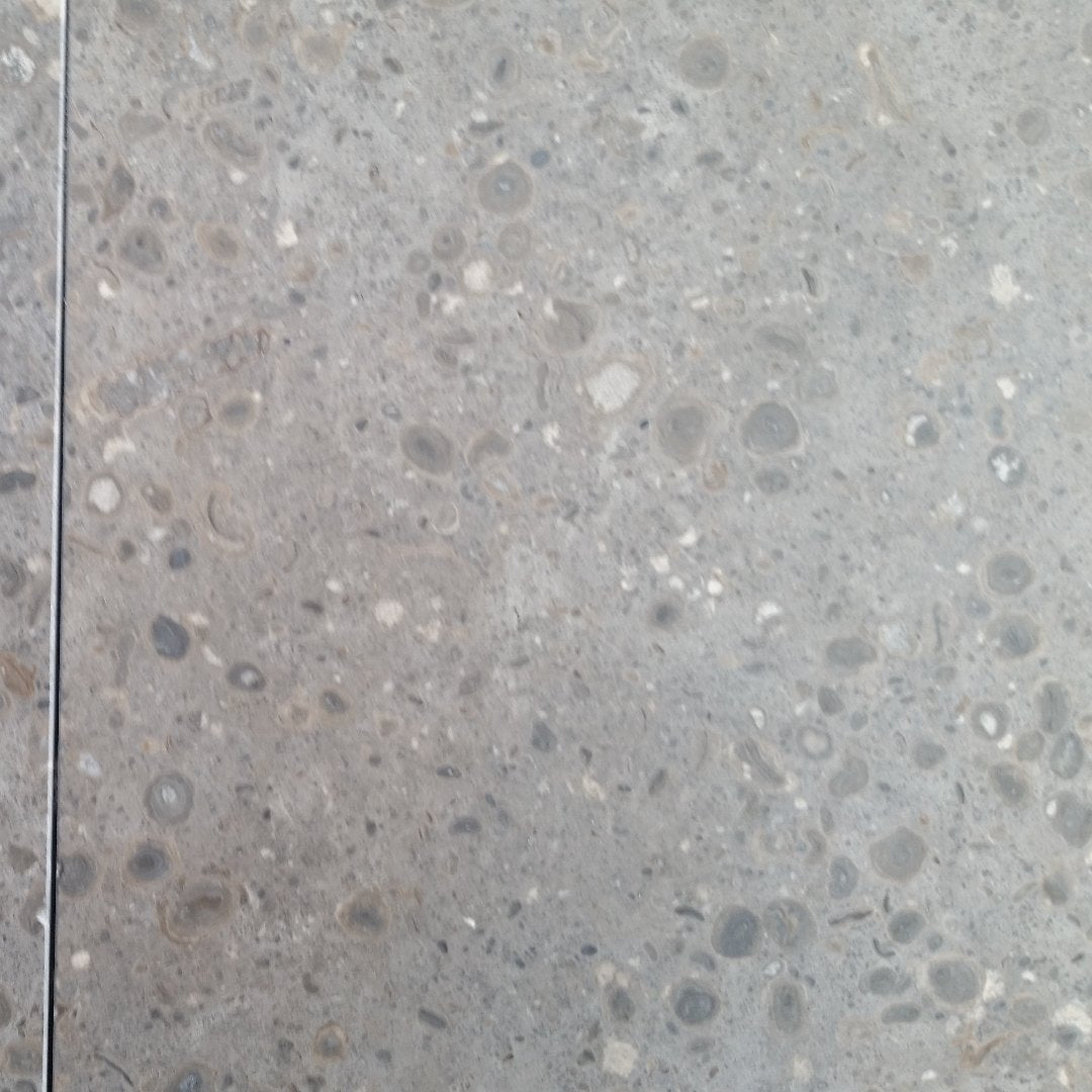 NOVA BLUE Limestone Honed Tile