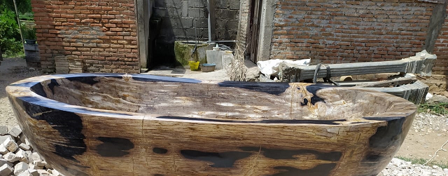 JAGUAR Petrified Wood Polished Oval Bathtub