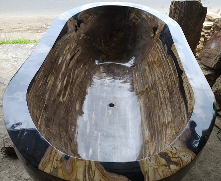 JAGUAR Petrified Wood Polished Oval Bathtub