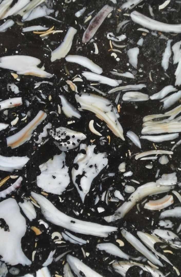 Black Oyster Eco Quartz Slab Hawaii Stone Imports