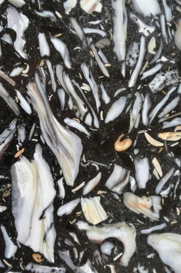 Black Oyster Eco Quartz Slab Hawaii Stone Imports